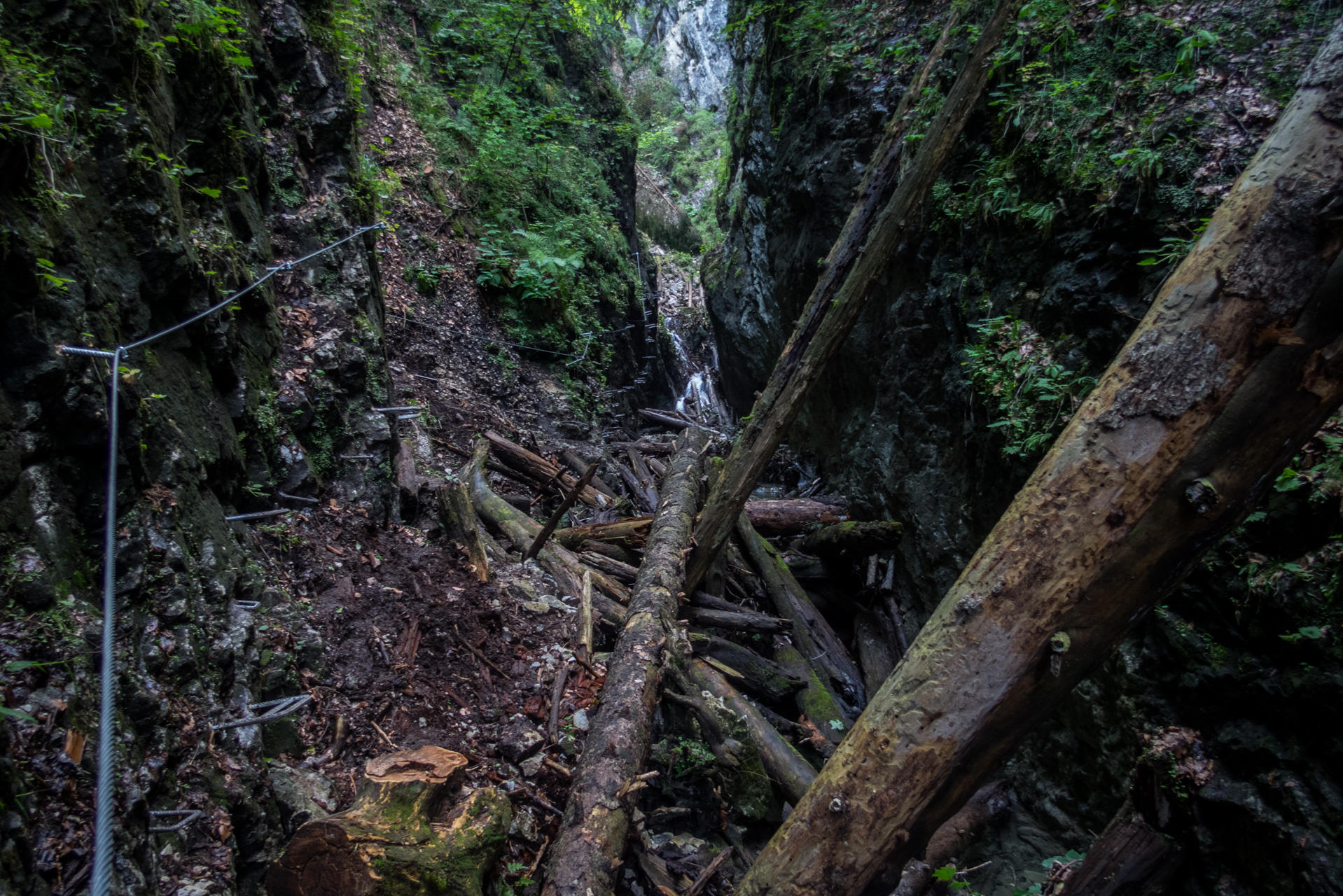 Ferrata HZS Kyseľ zo Spišských Tomášoviec (Slovenský raj)