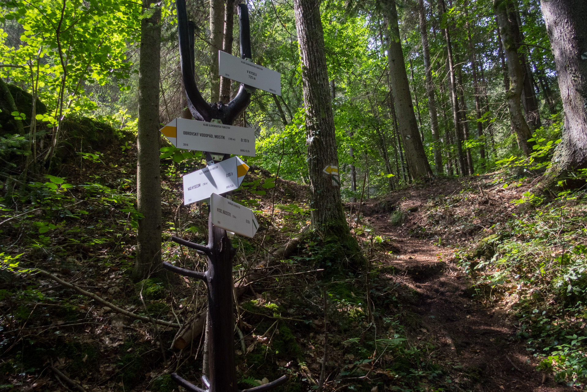 Ferrata HZS Kyseľ zo Spišských Tomášoviec (Slovenský raj)