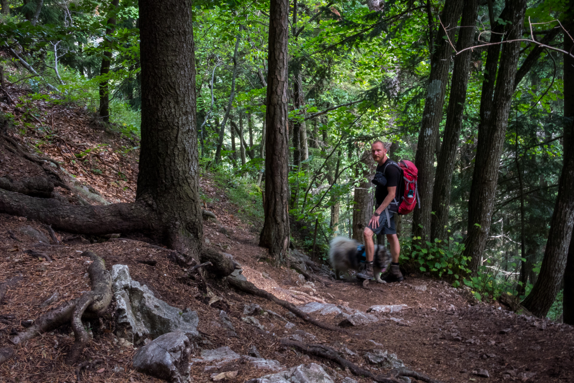 Ferrata HZS Kyseľ zo Spišských Tomášoviec (Slovenský raj)