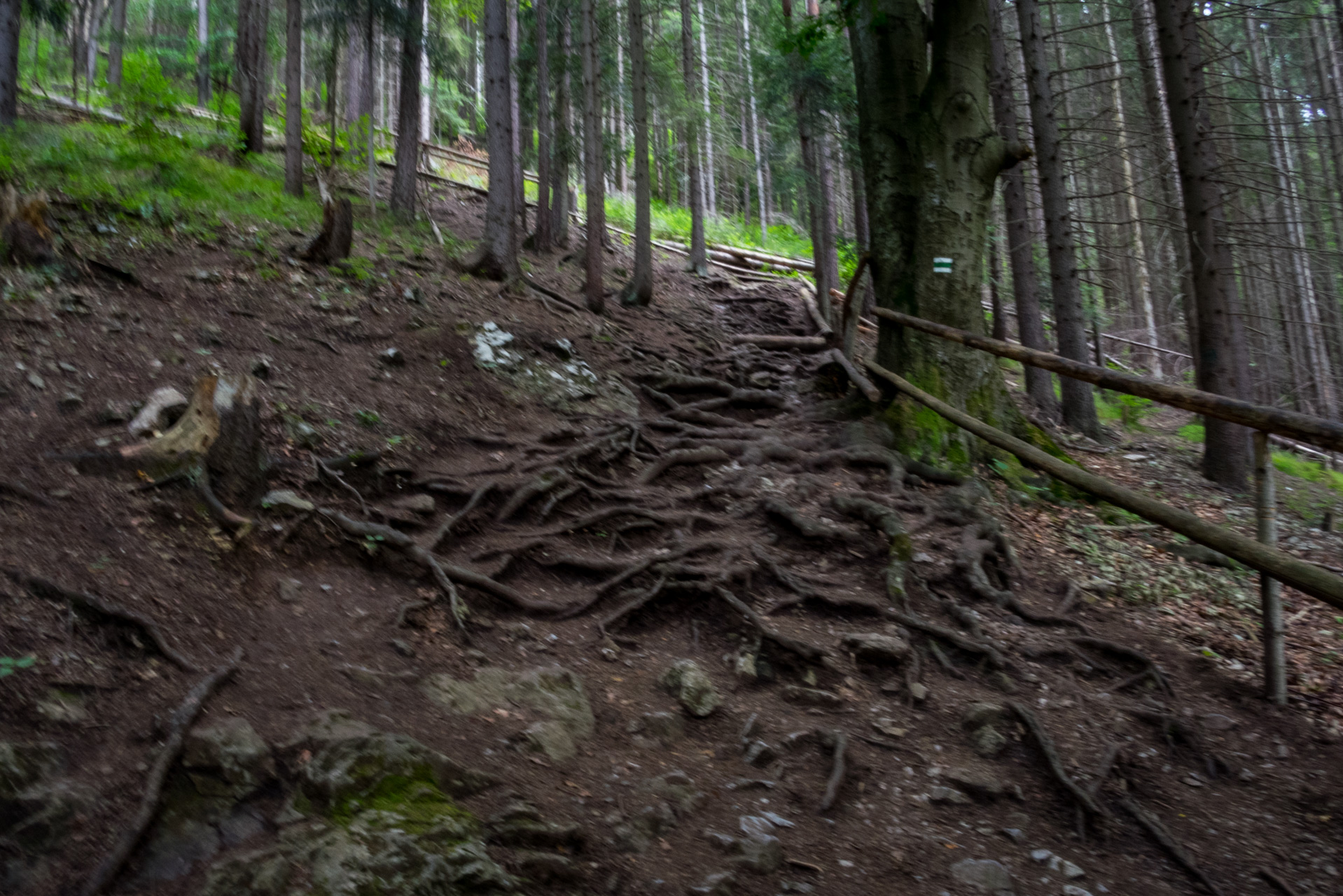 Ferrata HZS Kyseľ zo Spišských Tomášoviec (Slovenský raj)