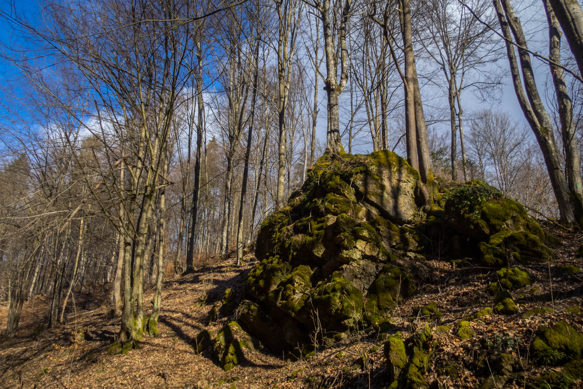 Folkmarská skala od ATC Touristclub (Volovské vrchy)