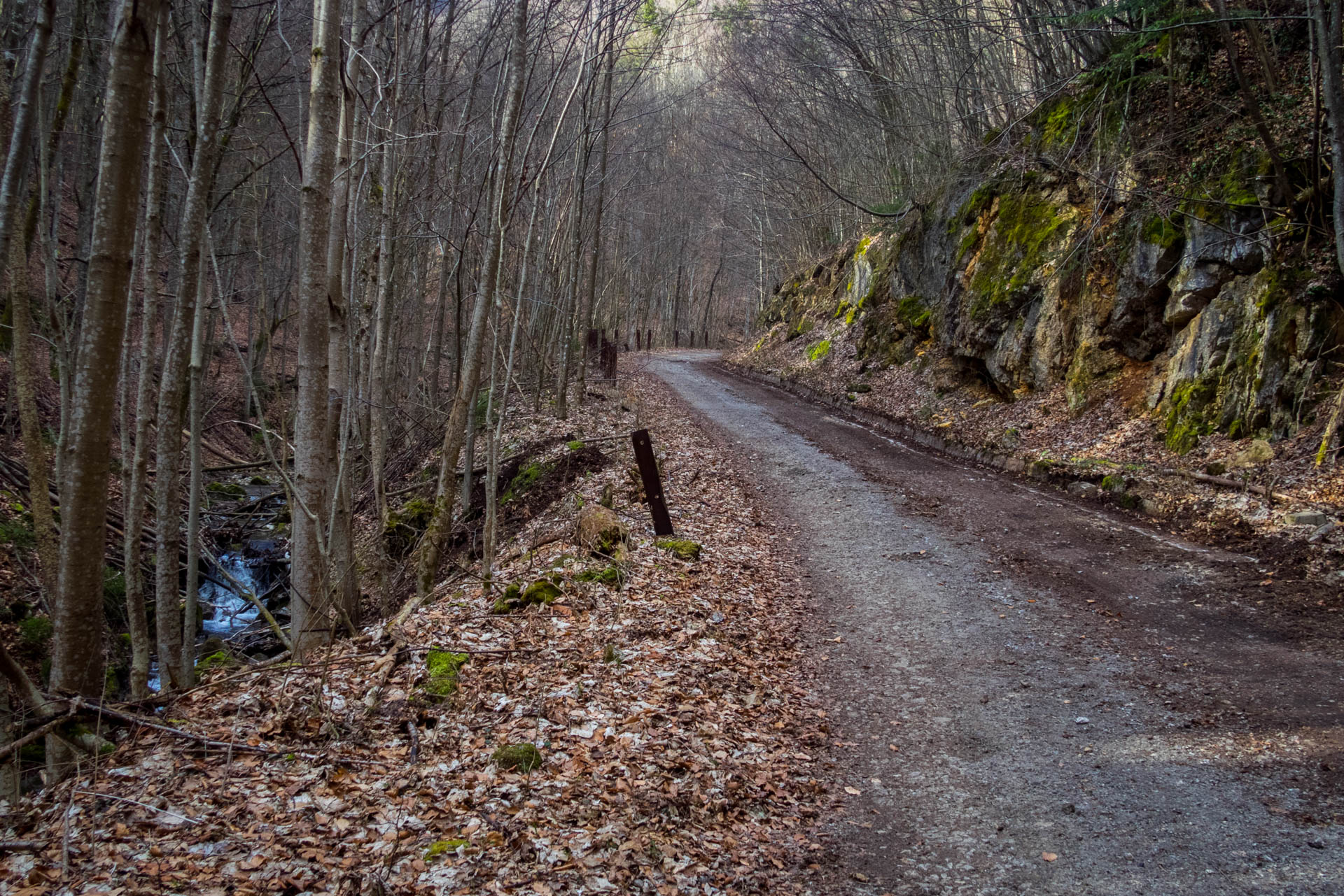 Folkmarská skala od ATC Touristclub (Volovské vrchy)