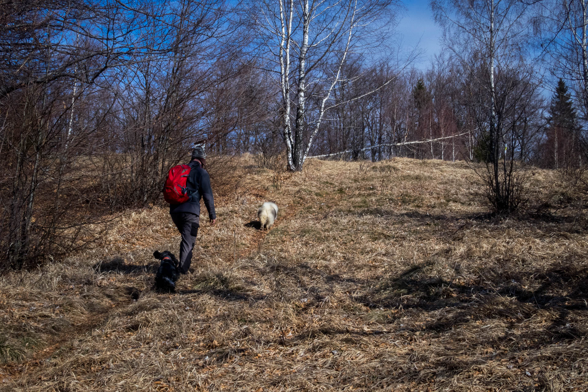 Folkmarská skala od ATC Touristclub (Volovské vrchy)