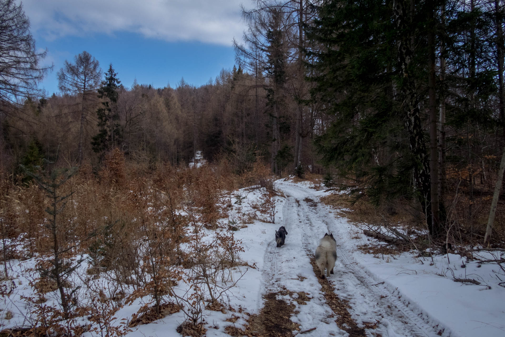 Folkmarská skala od ATC Touristclub (Volovské vrchy)