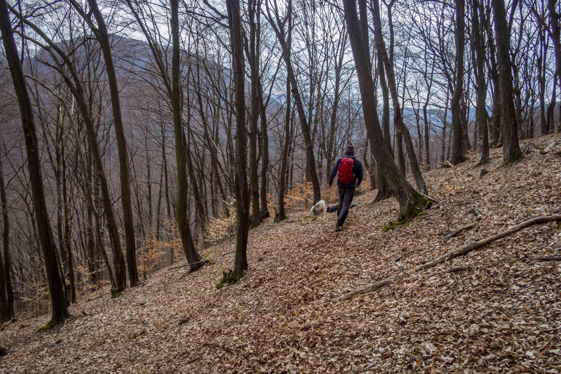 Folkmarská skala od ATC Touristclub (Volovské vrchy)