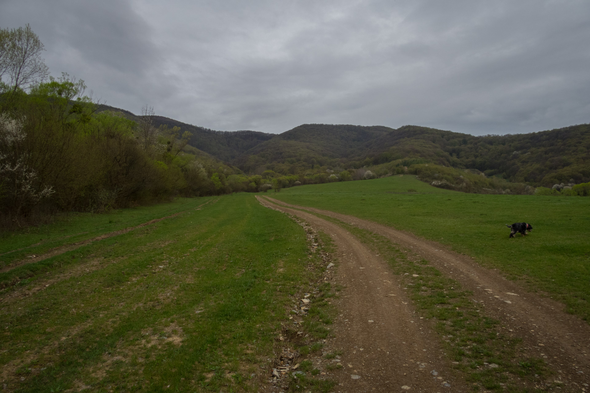 Gerlašská skala z Kružnej (Slovenský kras)