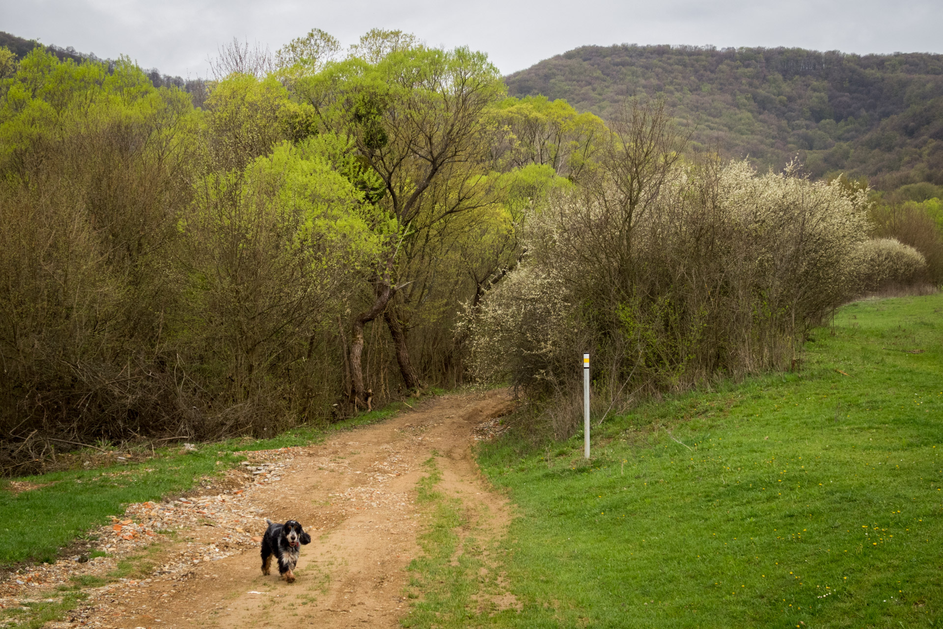 Gerlašská skala z Kružnej (Slovenský kras)