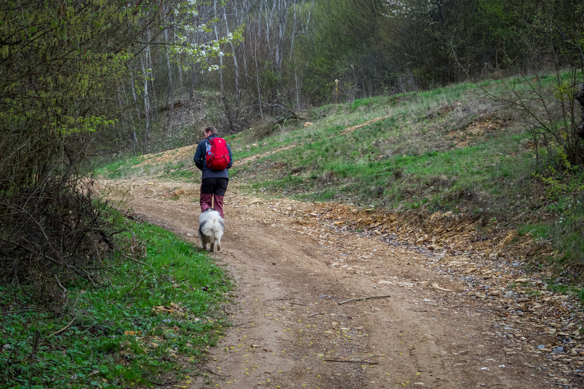 Gerlašská skala z Kružnej (Slovenský kras)