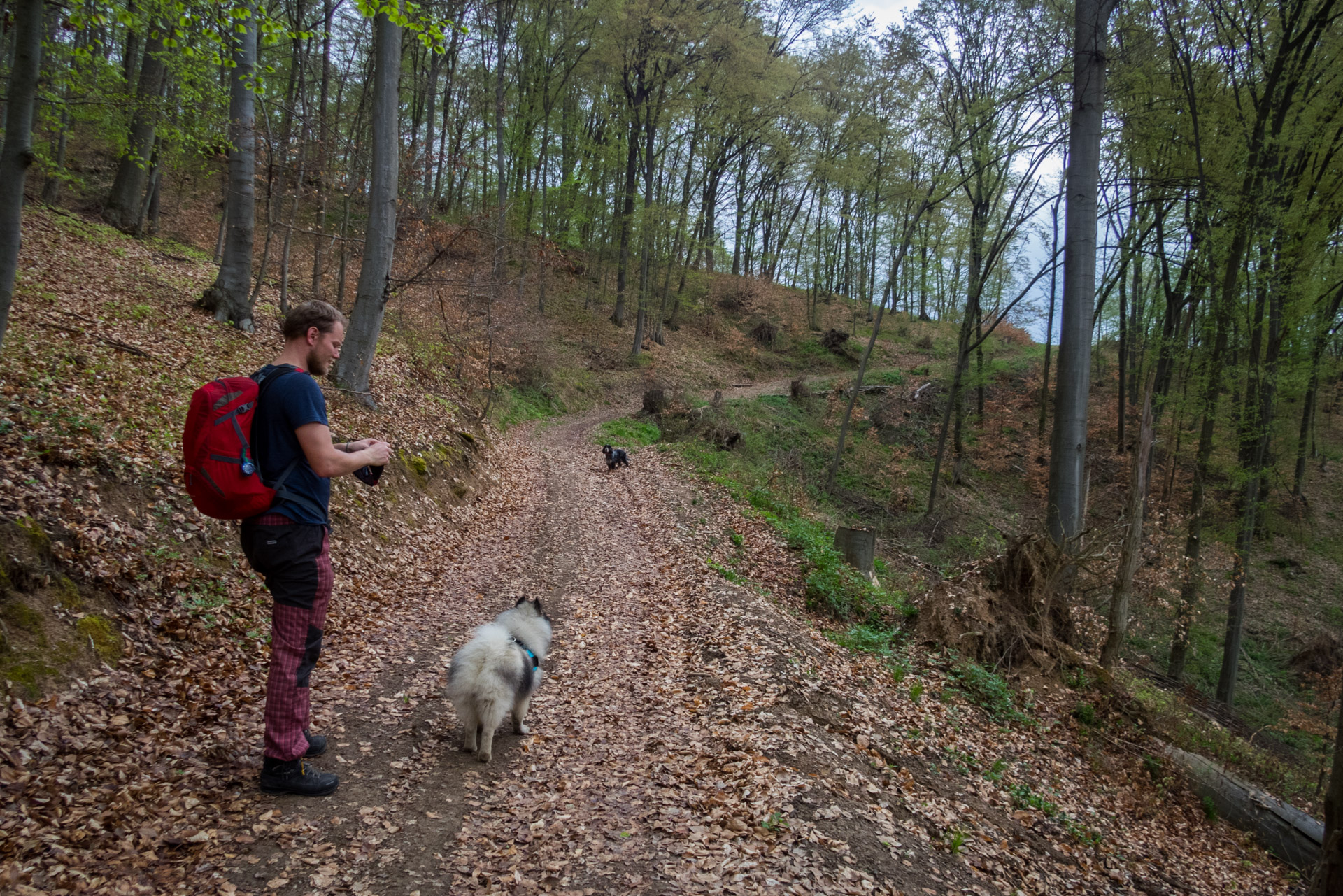 Gerlašská skala z Kružnej (Slovenský kras)