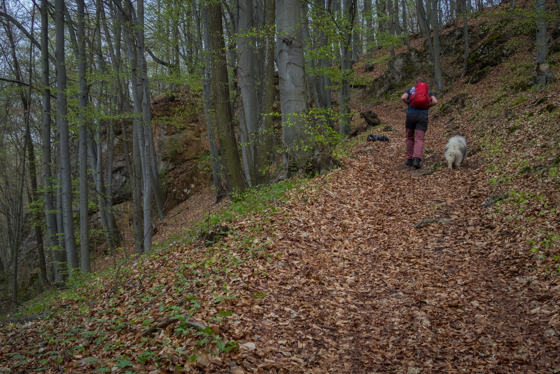 Gerlašská skala z Kružnej (Slovenský kras)