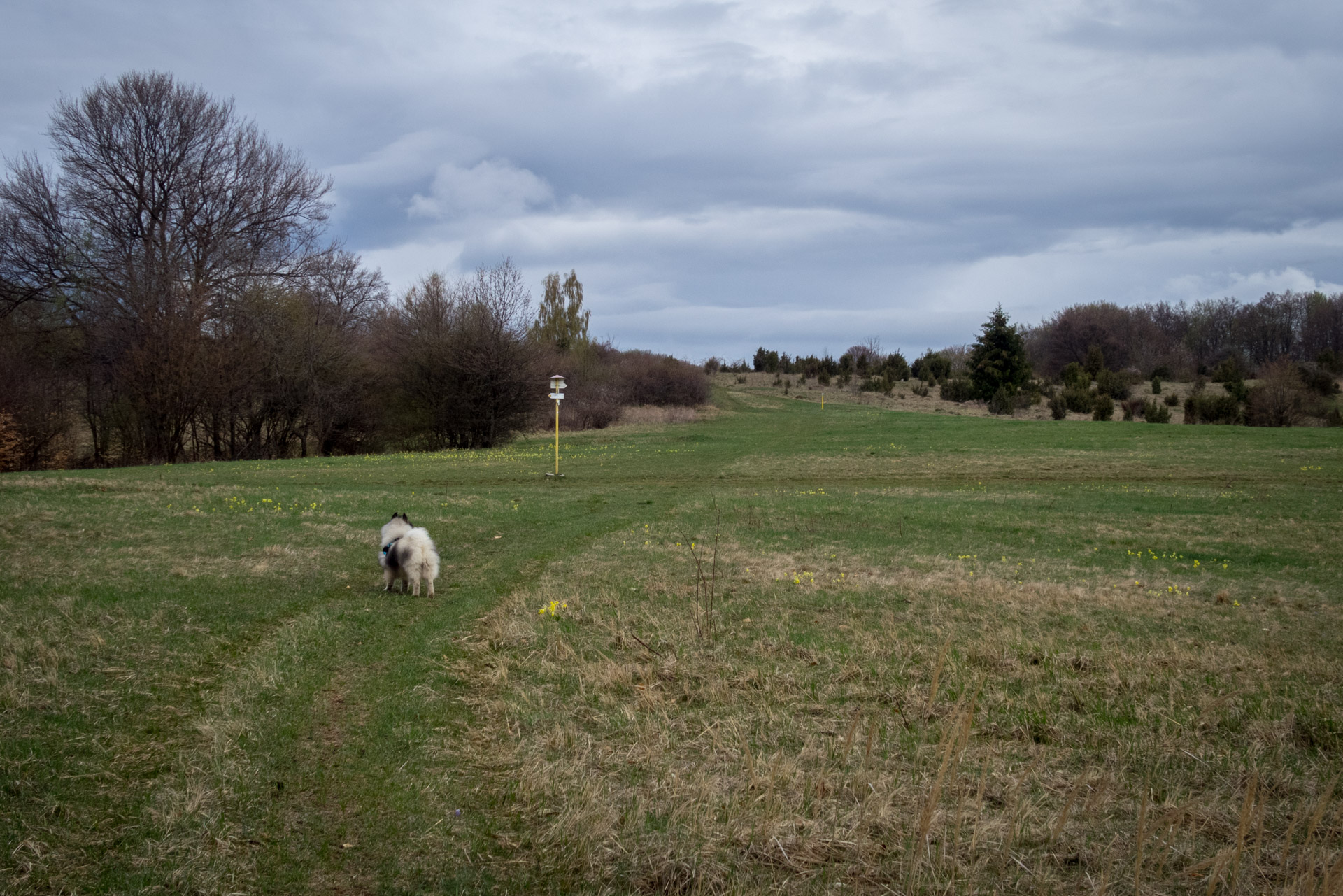 Gerlašská skala z Kružnej (Slovenský kras)