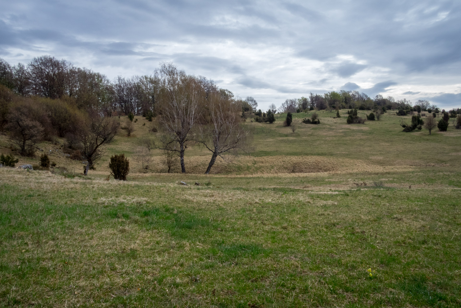 Gerlašská skala z Kružnej (Slovenský kras)