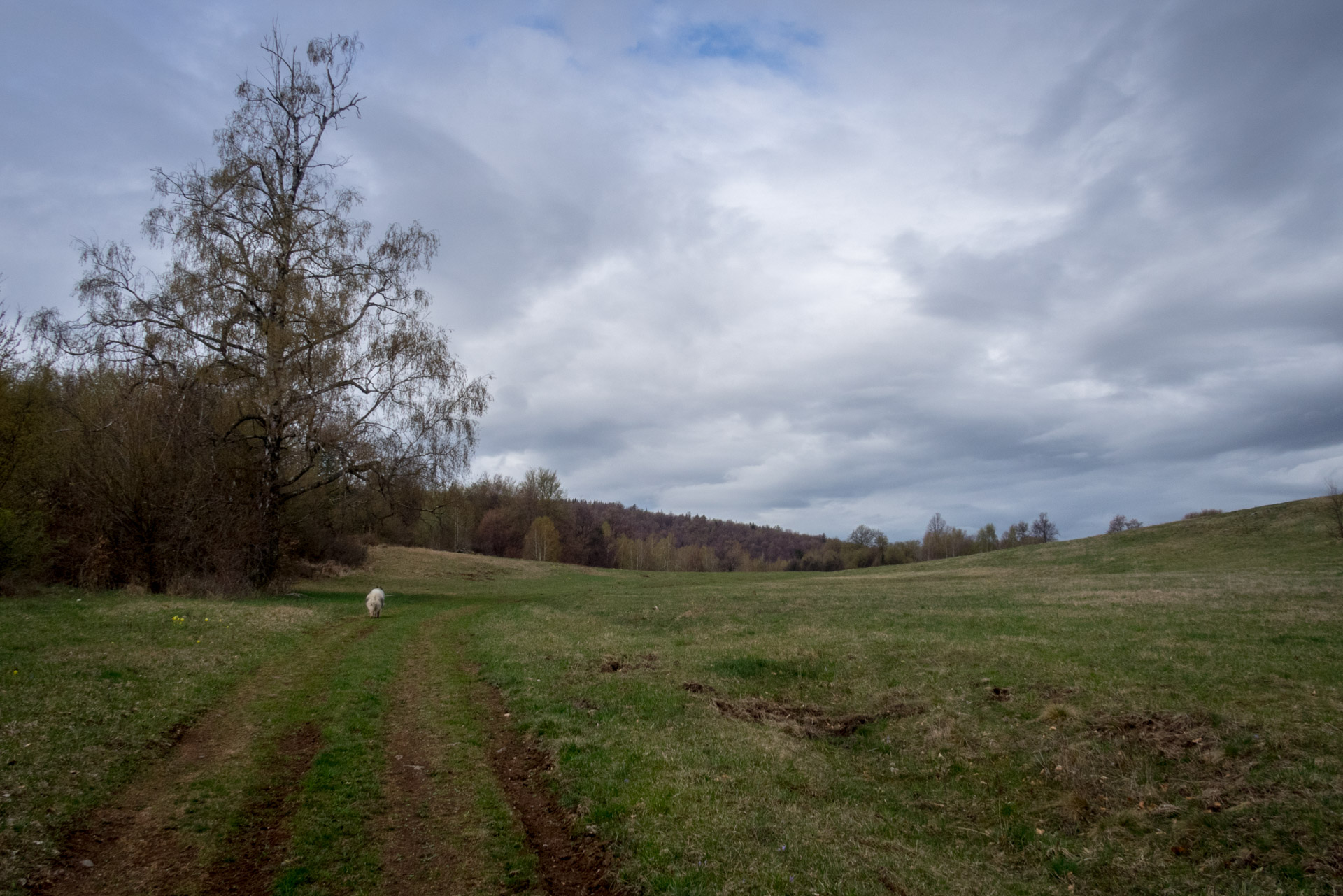 Gerlašská skala z Kružnej (Slovenský kras)