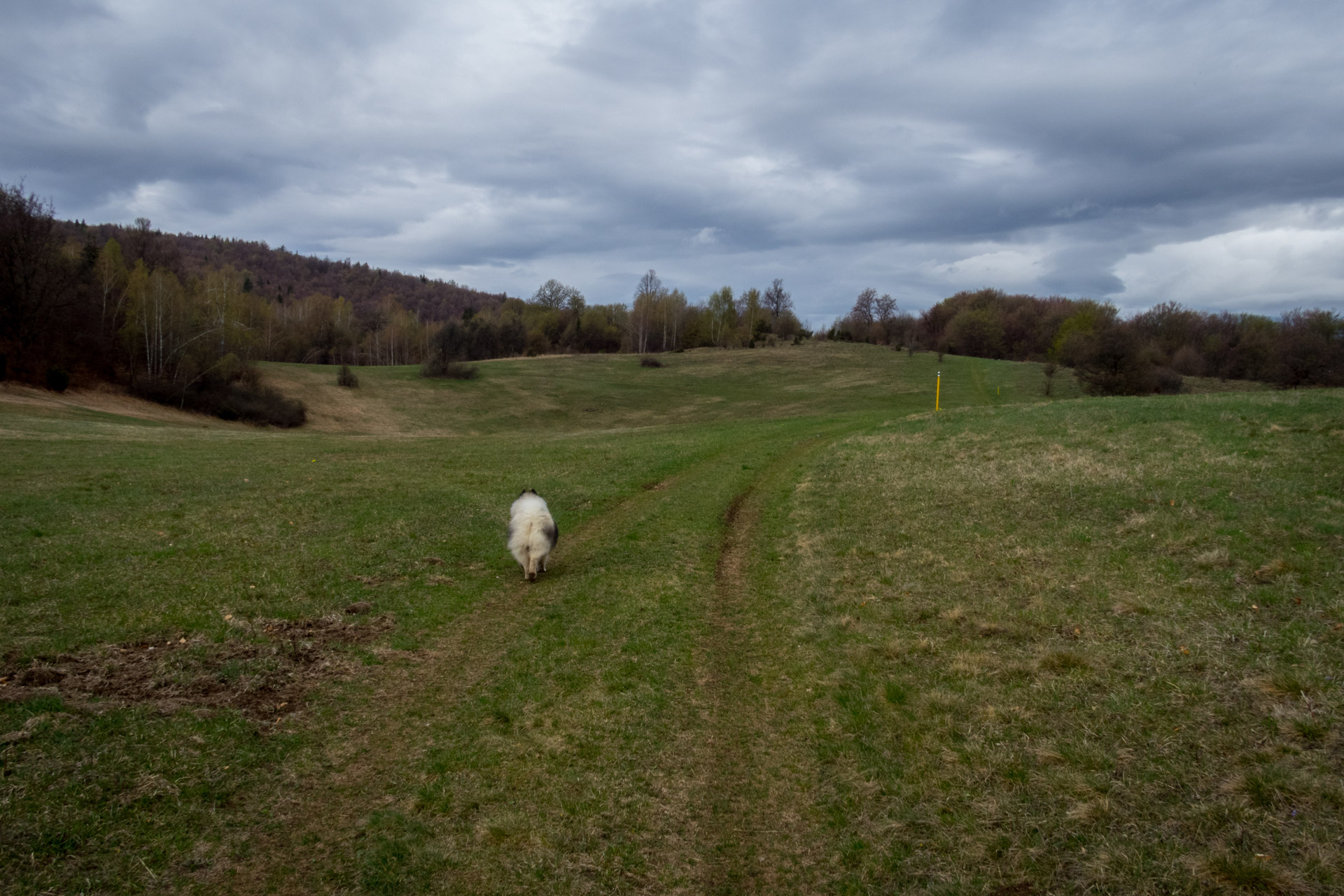 Gerlašská skala z Kružnej (Slovenský kras)