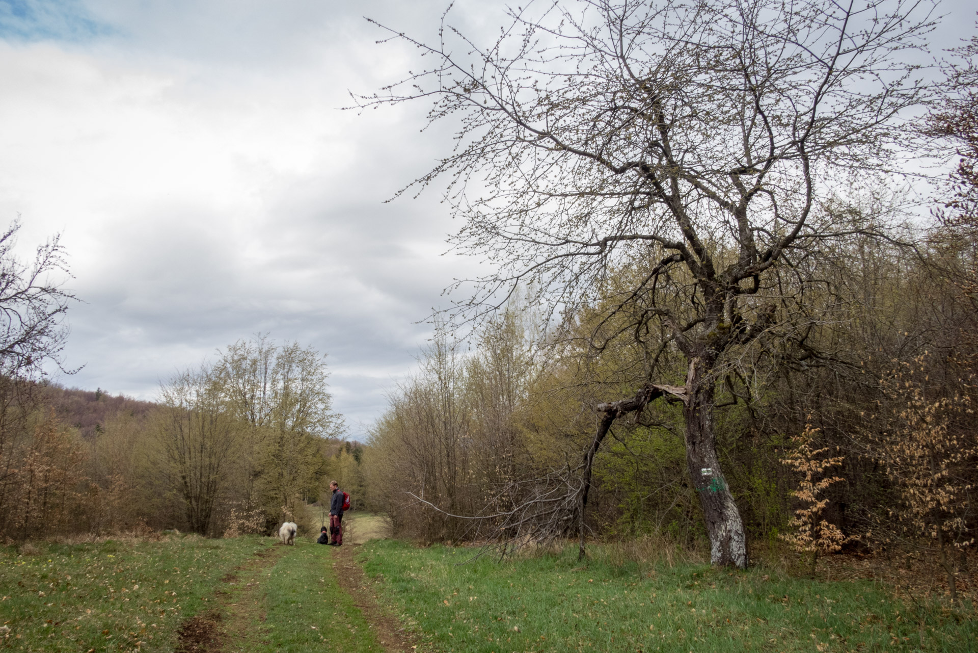 Gerlašská skala z Kružnej (Slovenský kras)