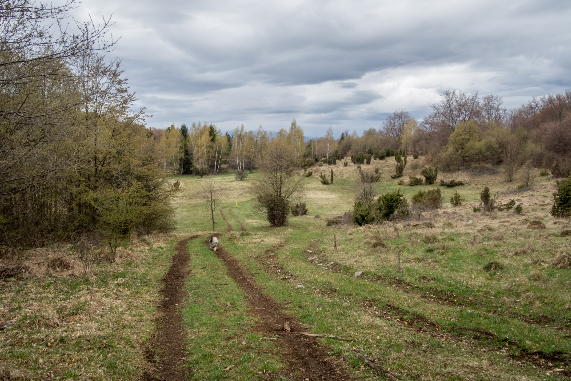 Gerlašská skala z Kružnej (Slovenský kras)