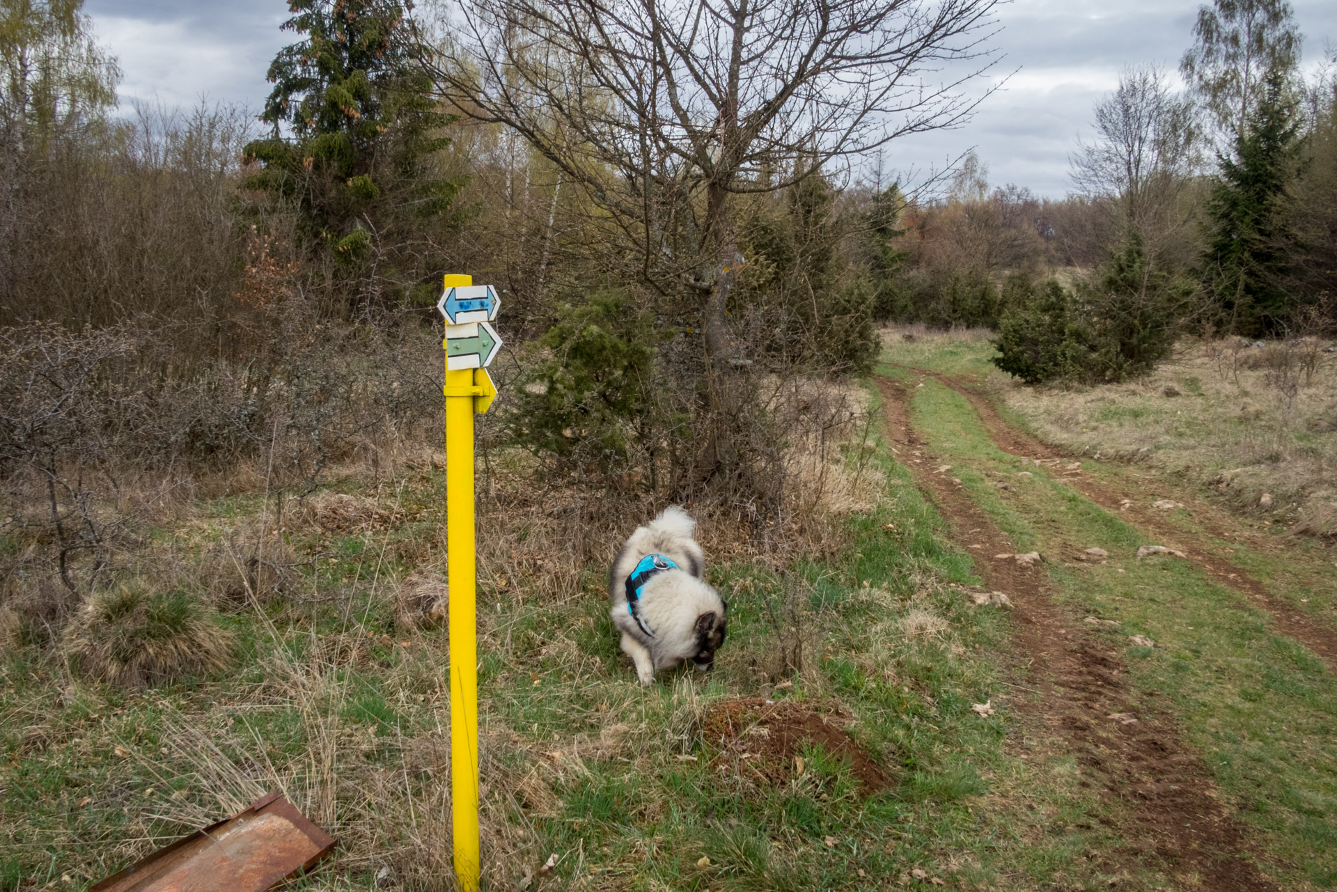 Gerlašská skala z Kružnej (Slovenský kras)