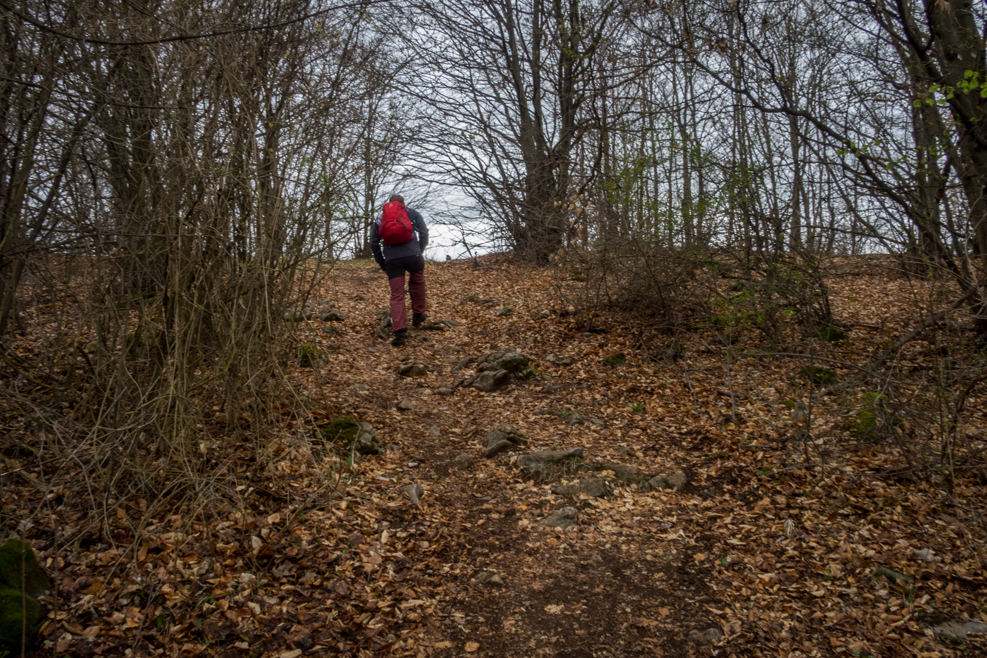 Gerlašská skala z Kružnej (Slovenský kras)