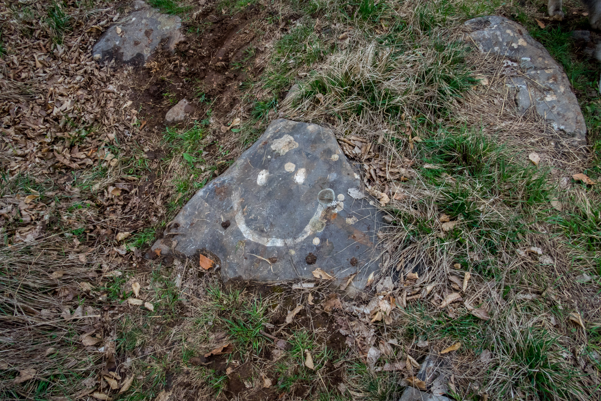 Gerlašská skala z Kružnej (Slovenský kras)
