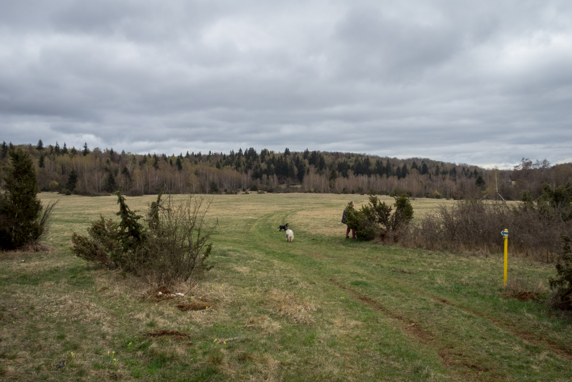 Gerlašská skala z Kružnej (Slovenský kras)