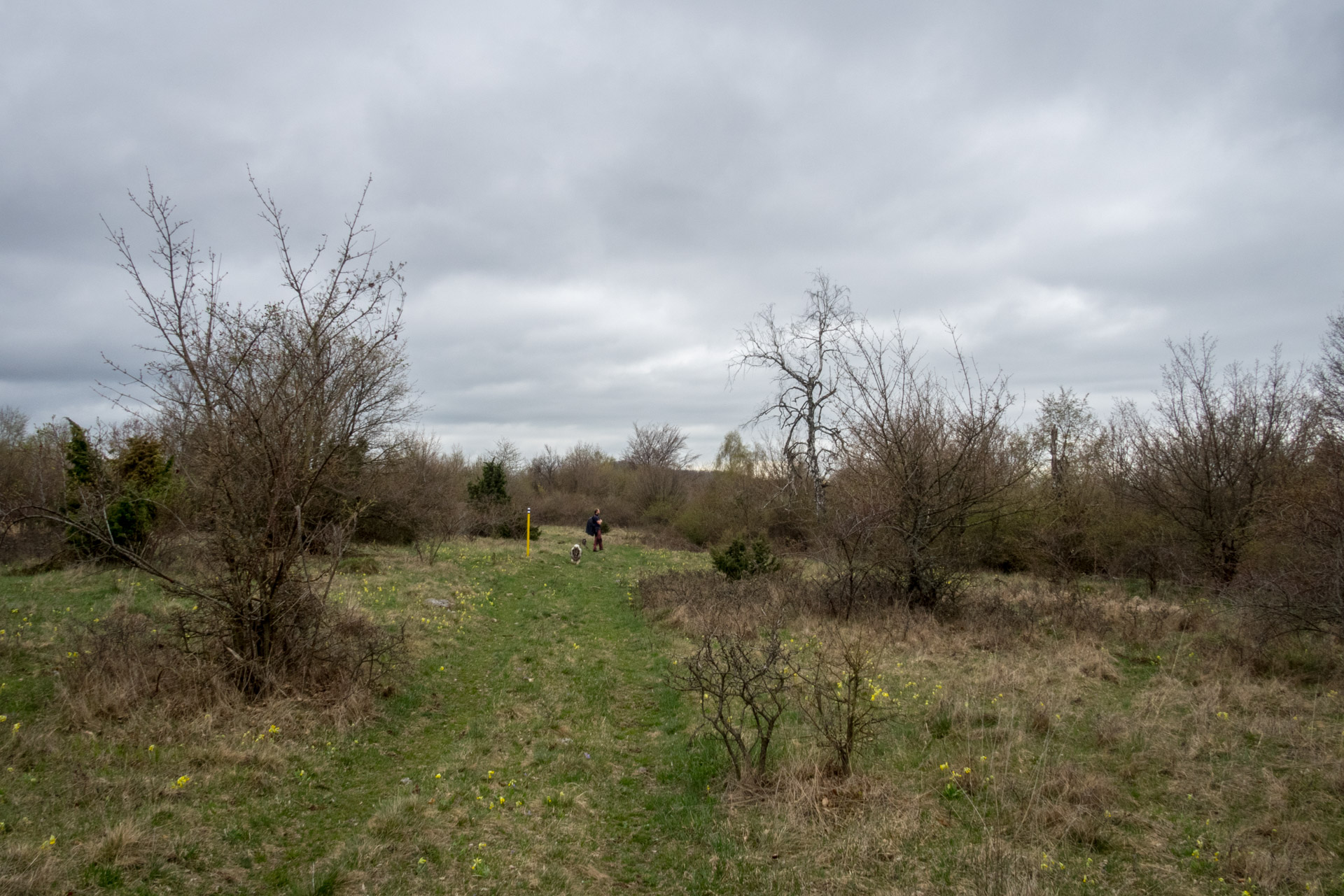 Gerlašská skala z Kružnej (Slovenský kras)