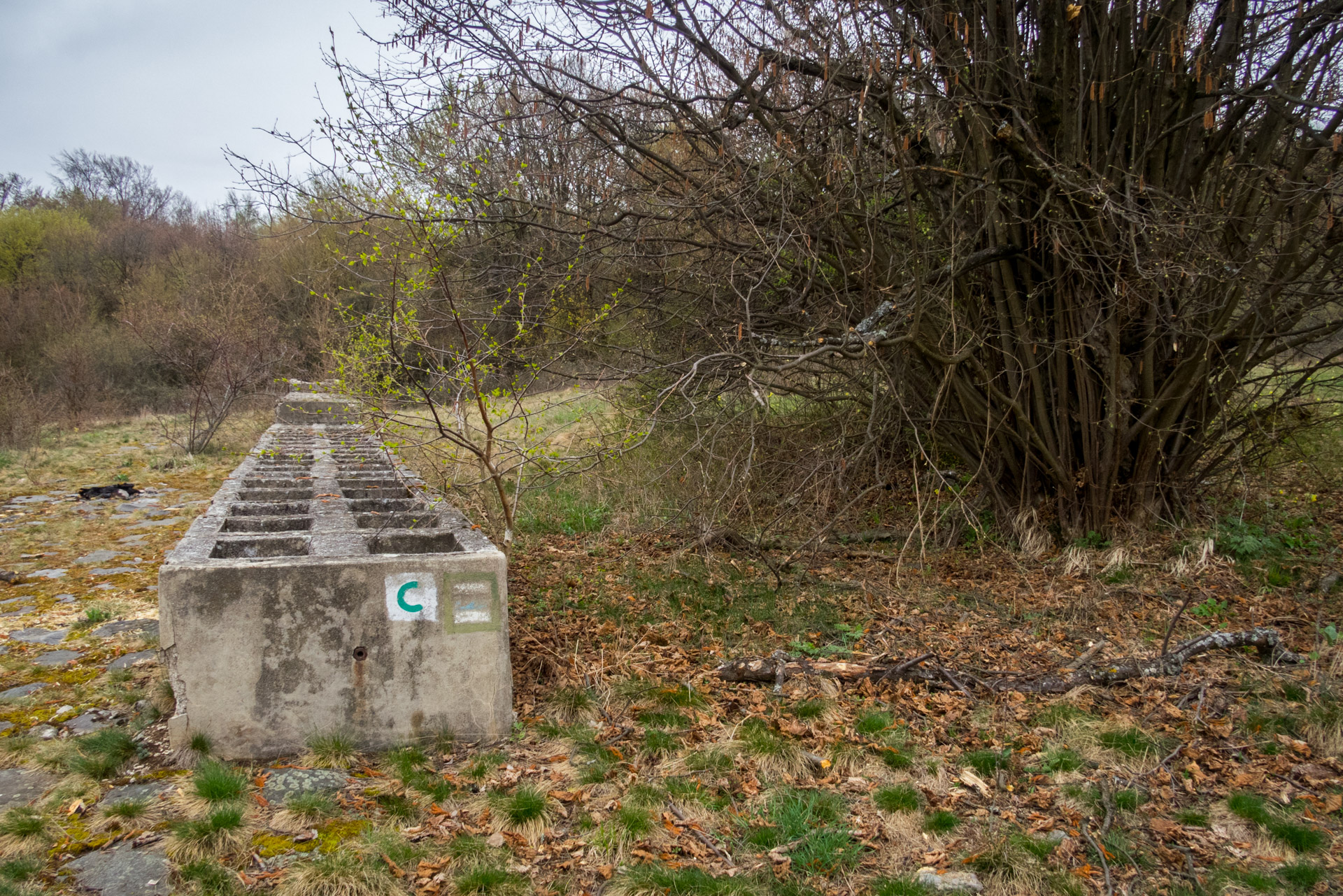 Gerlašská skala z Kružnej (Slovenský kras)