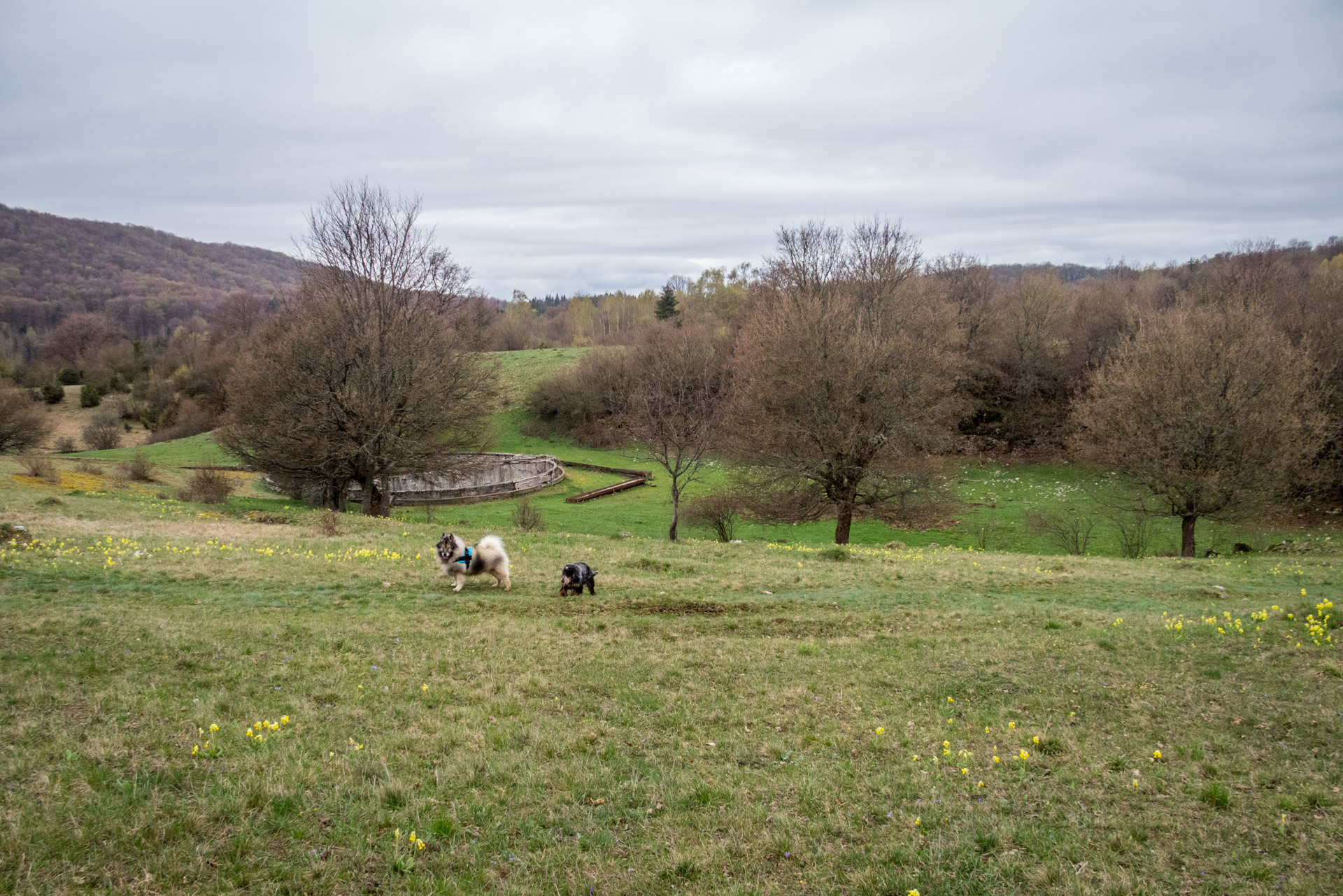 Gerlašská skala z Kružnej (Slovenský kras)