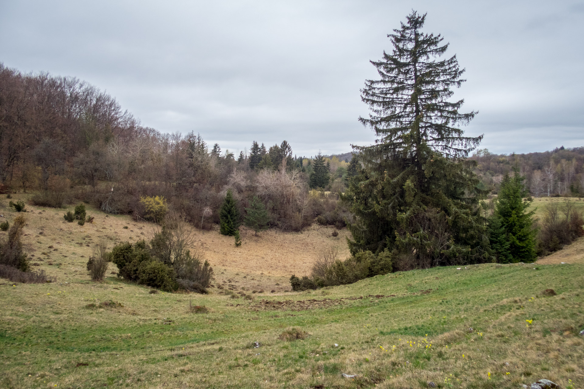 Gerlašská skala z Kružnej (Slovenský kras)