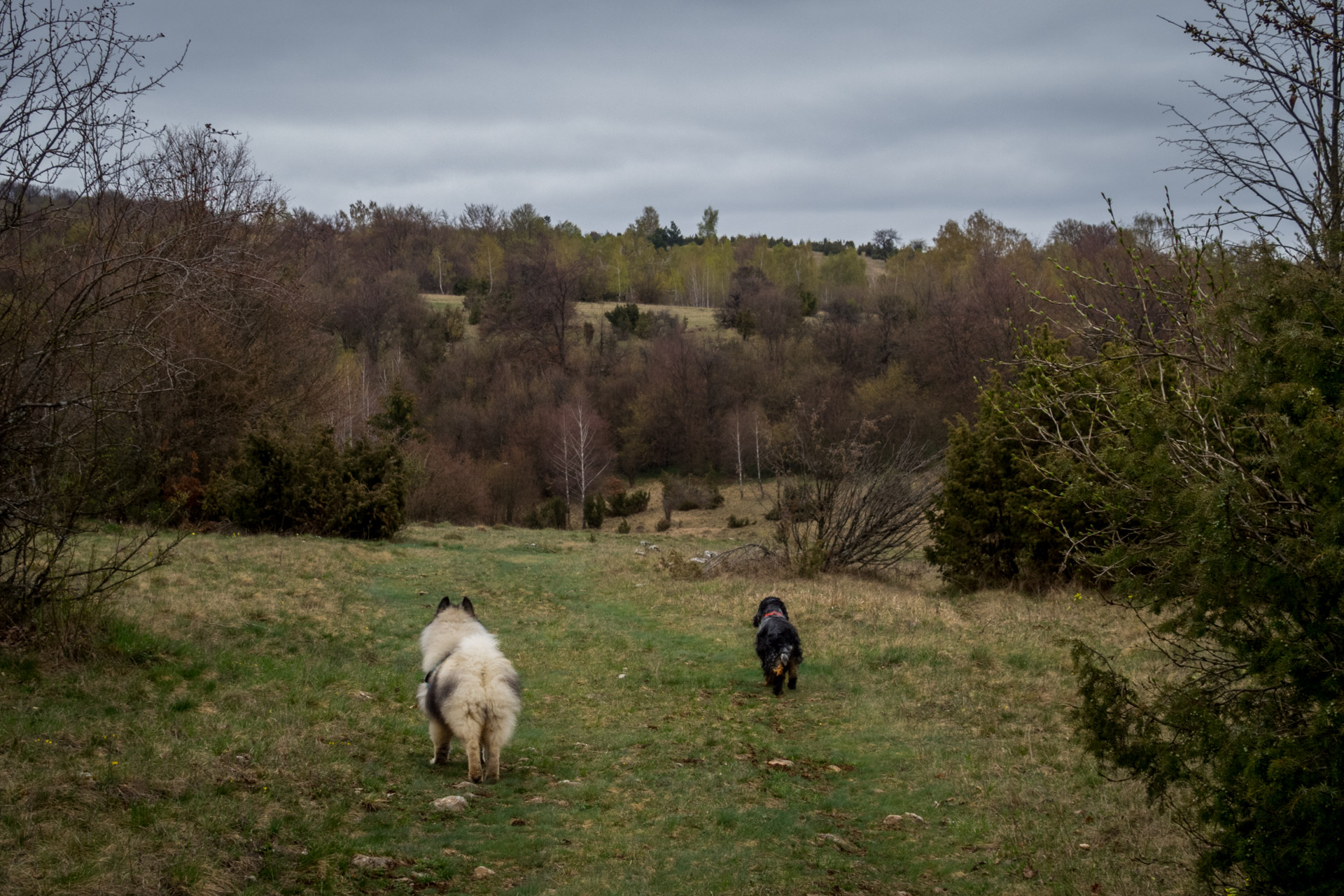 Gerlašská skala z Kružnej (Slovenský kras)