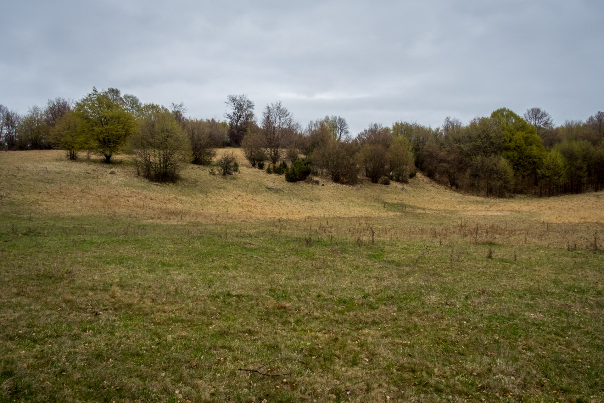 Gerlašská skala z Kružnej (Slovenský kras)