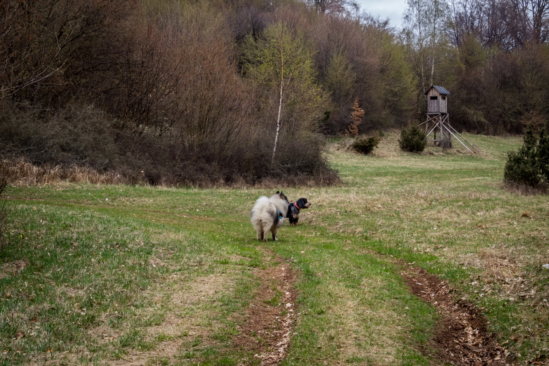 Gerlašská skala z Kružnej (Slovenský kras)