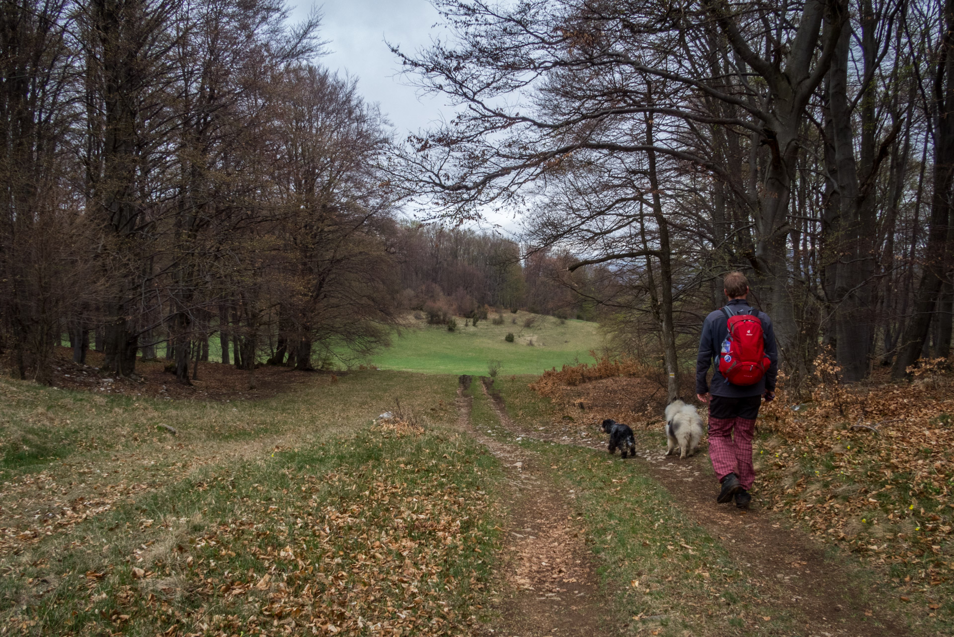 Gerlašská skala z Kružnej (Slovenský kras)