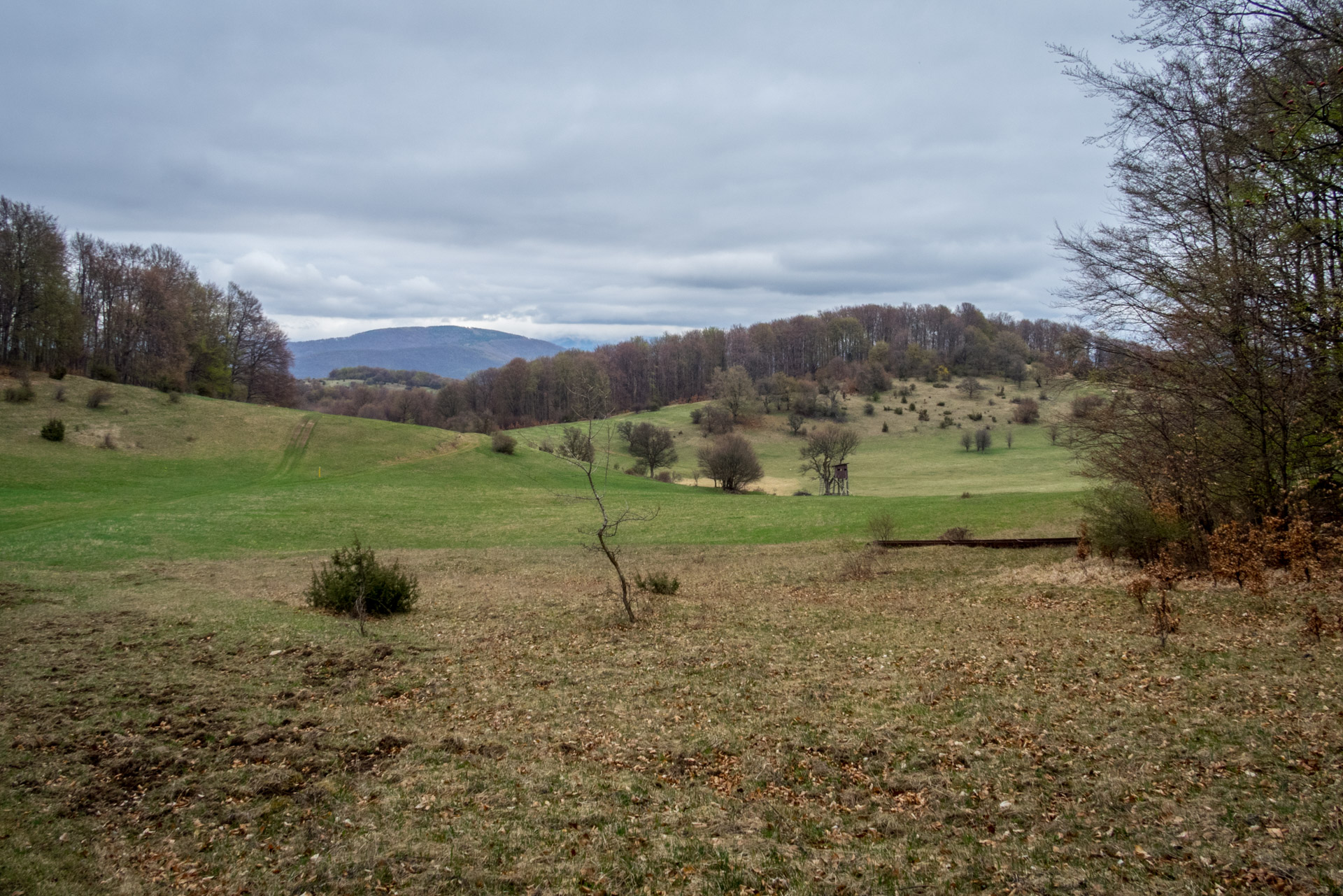 Gerlašská skala z Kružnej (Slovenský kras)