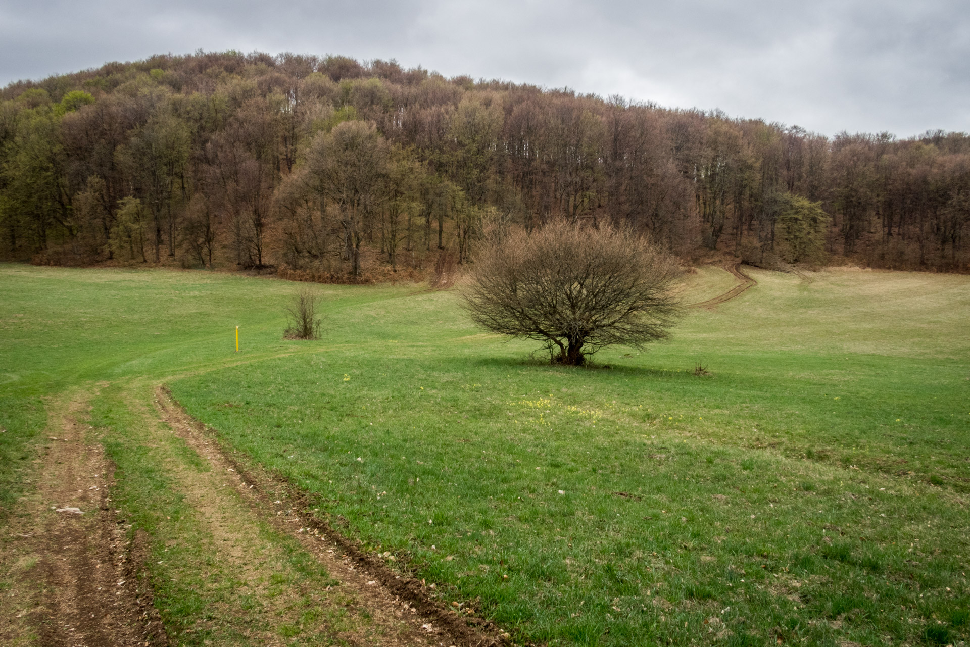 Gerlašská skala z Kružnej (Slovenský kras)