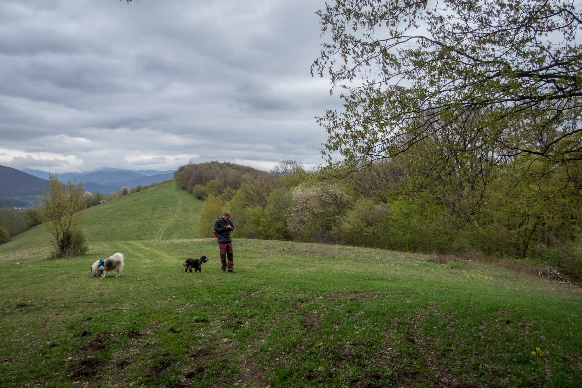 Gerlašská skala z Kružnej (Slovenský kras)