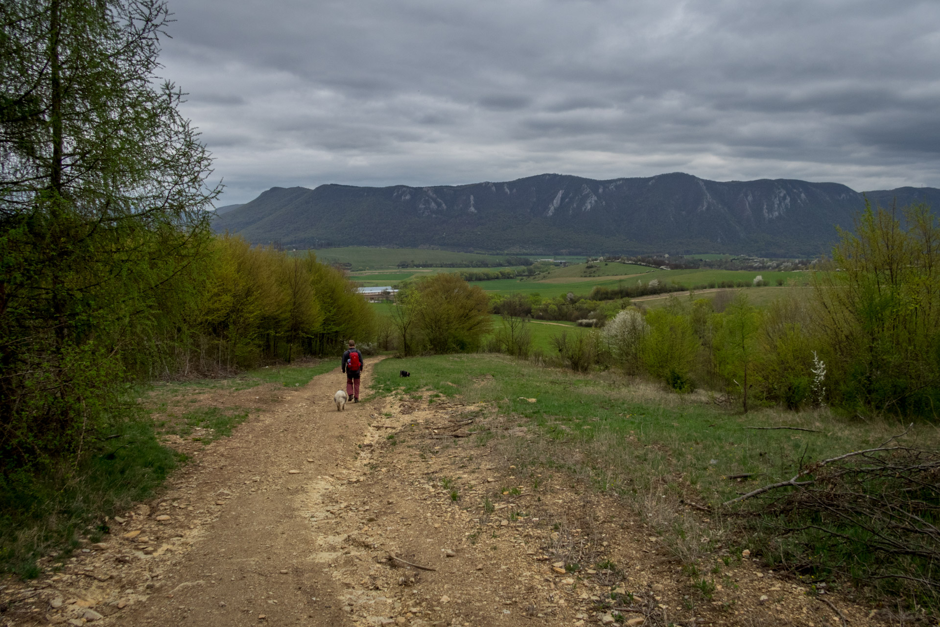 Gerlašská skala z Kružnej (Slovenský kras)