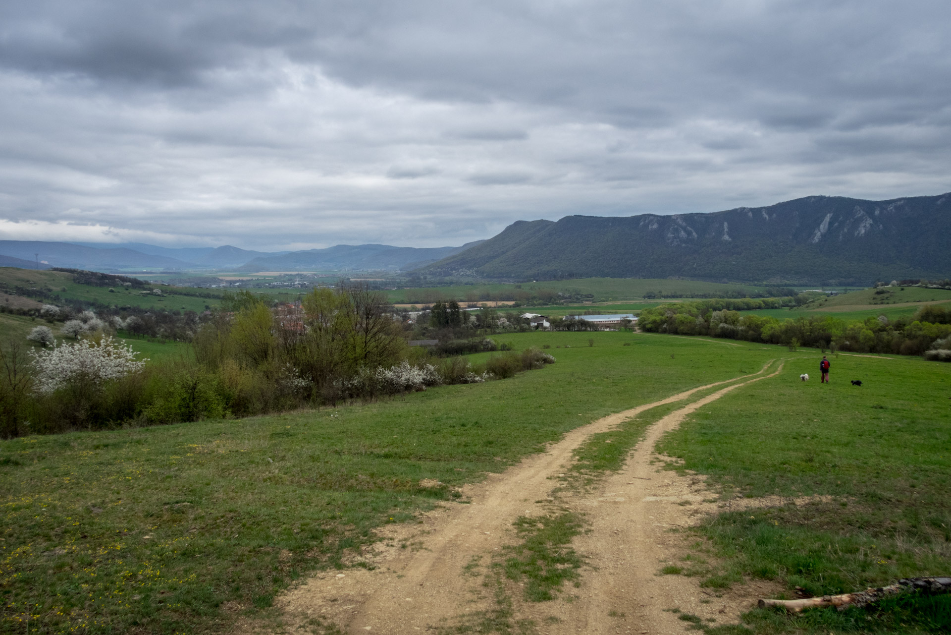 Gerlašská skala z Kružnej (Slovenský kras)