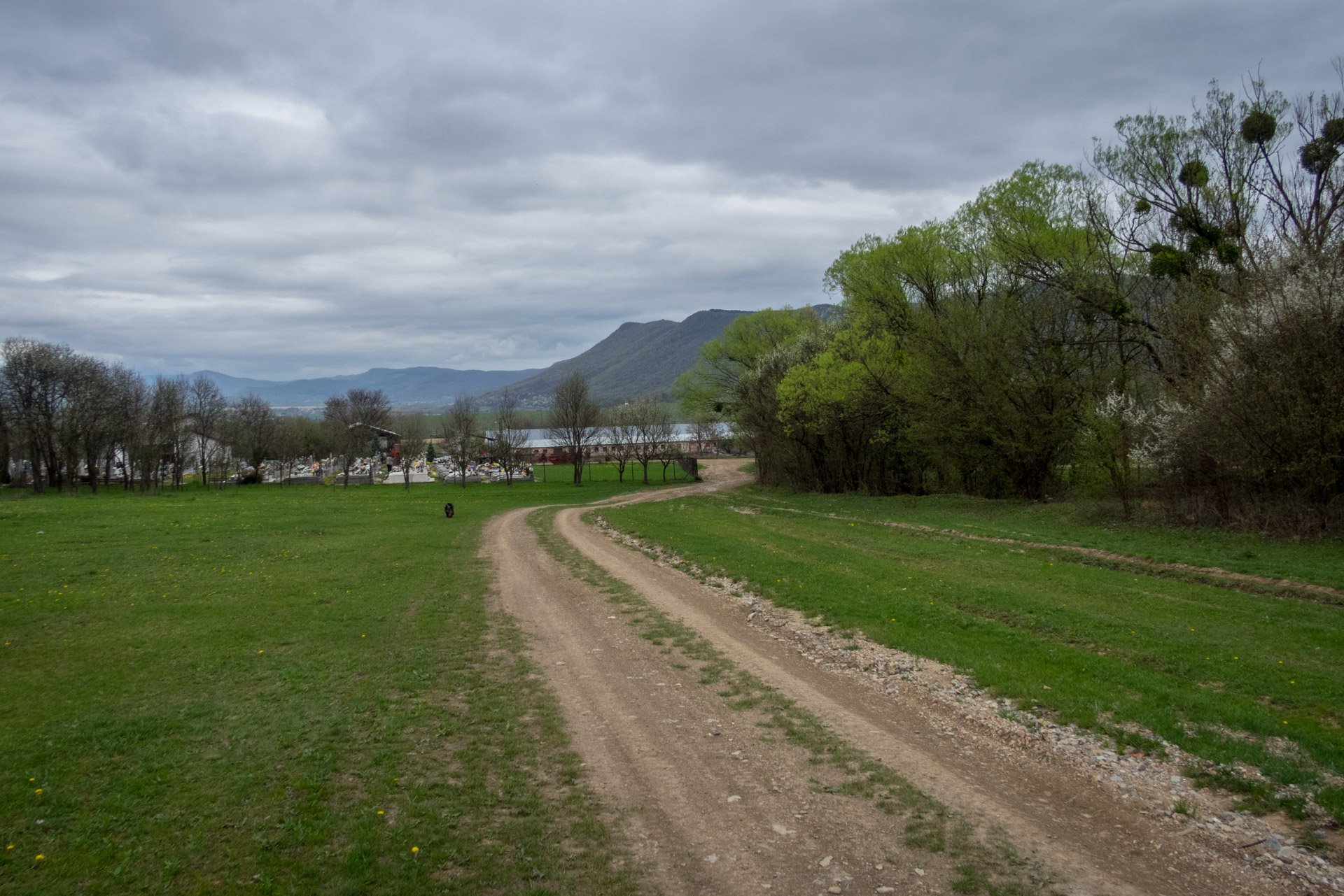 Gerlašská skala z Kružnej (Slovenský kras)