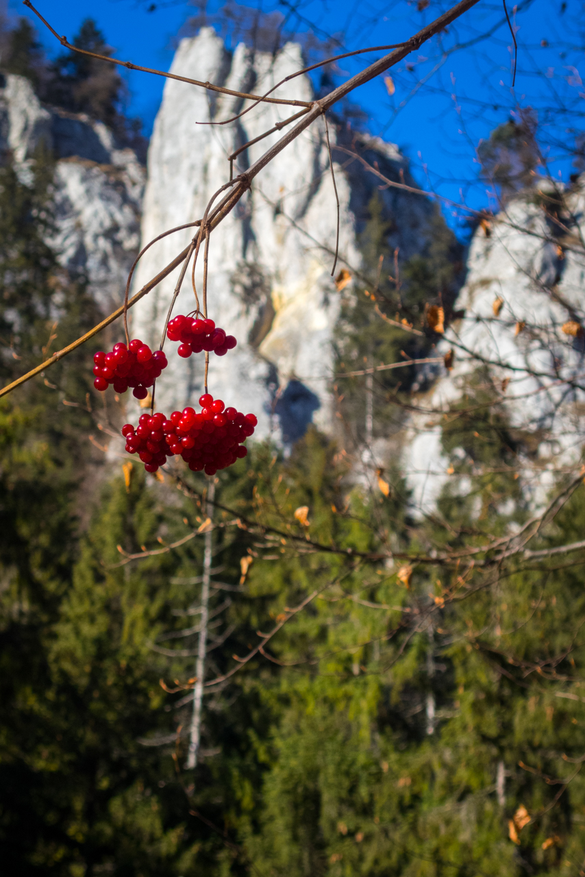 Havrania skala cez Stratenskú pílu (Slovenský raj)