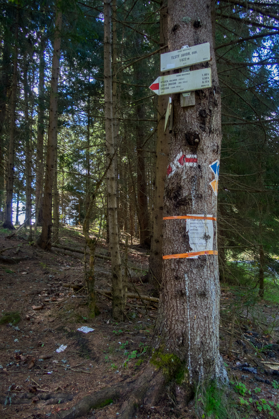 Hrebeňovka Slovenského Rudohoria (1. deň) (Veporské vrchy)