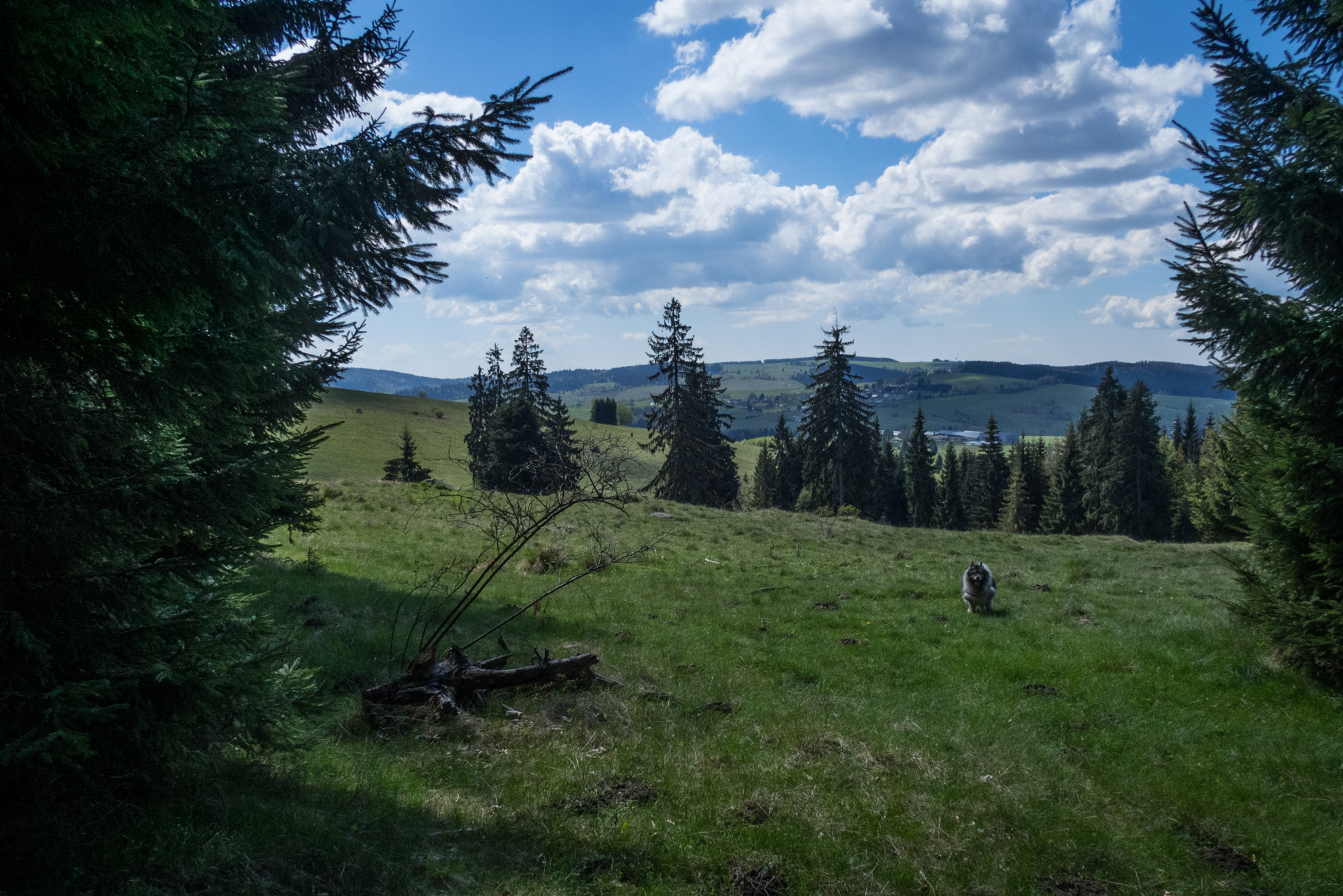 Hrebeňovka Slovenského Rudohoria (1. deň) (Veporské vrchy)