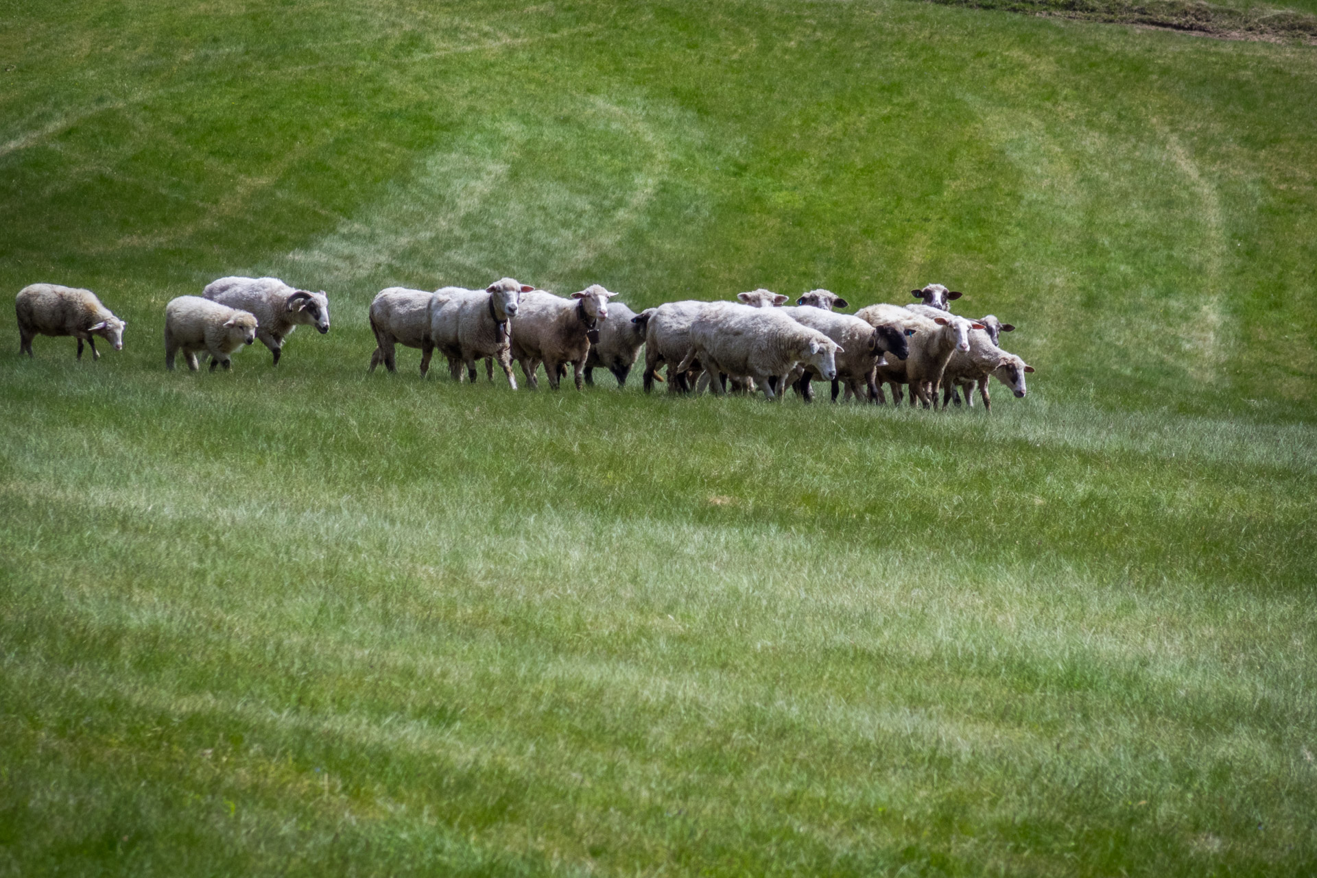 Hrebeňovka Slovenského Rudohoria (1. deň) (Veporské vrchy)