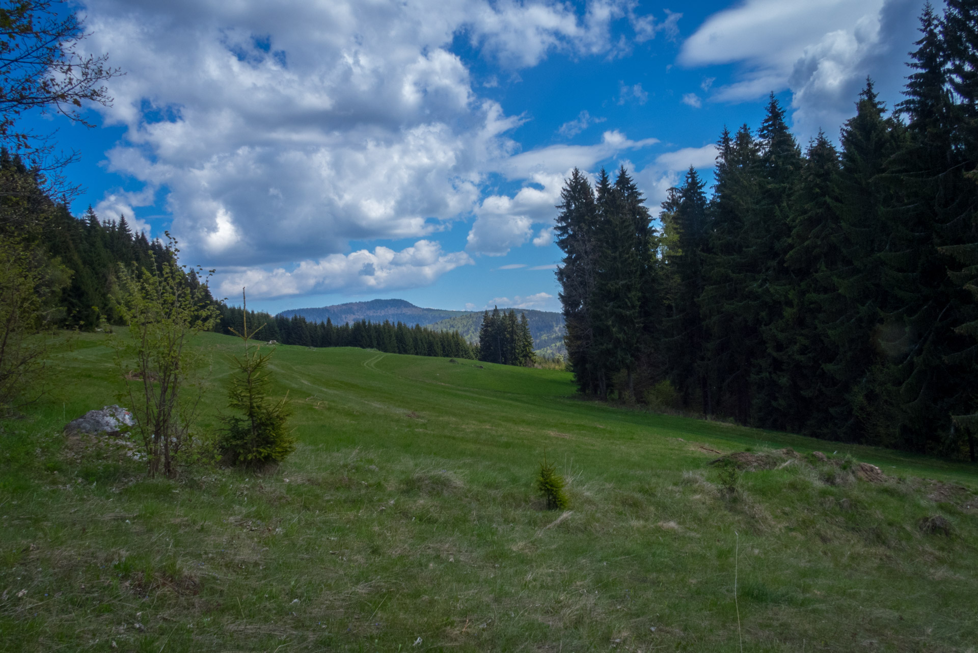 Hrebeňovka Slovenského Rudohoria (1. deň) (Veporské vrchy)