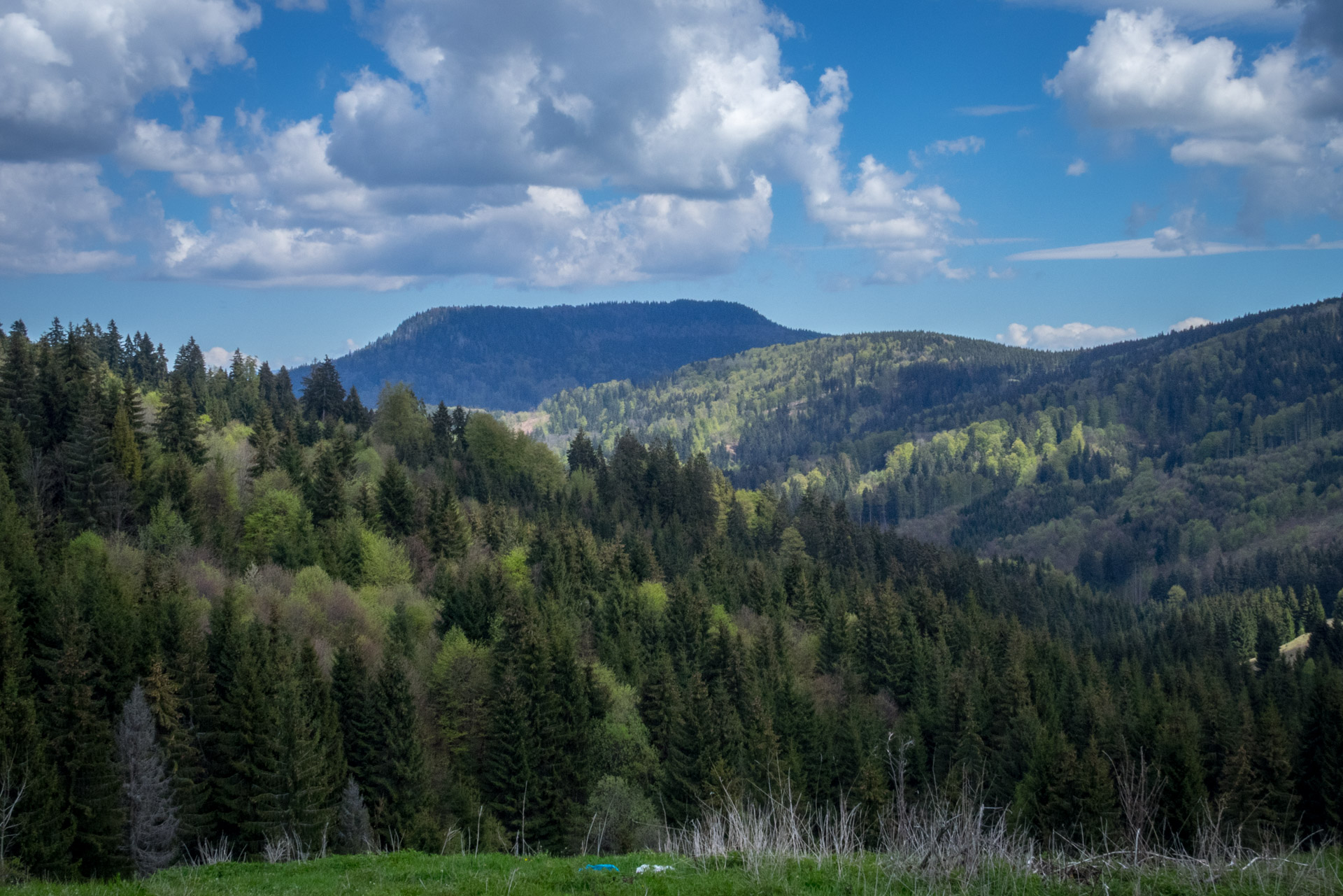 Hrebeňovka Slovenského Rudohoria (1. deň) (Veporské vrchy)