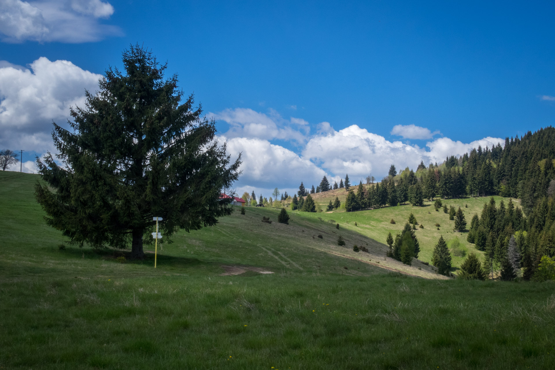 Hrebeňovka Slovenského Rudohoria (1. deň) (Veporské vrchy)