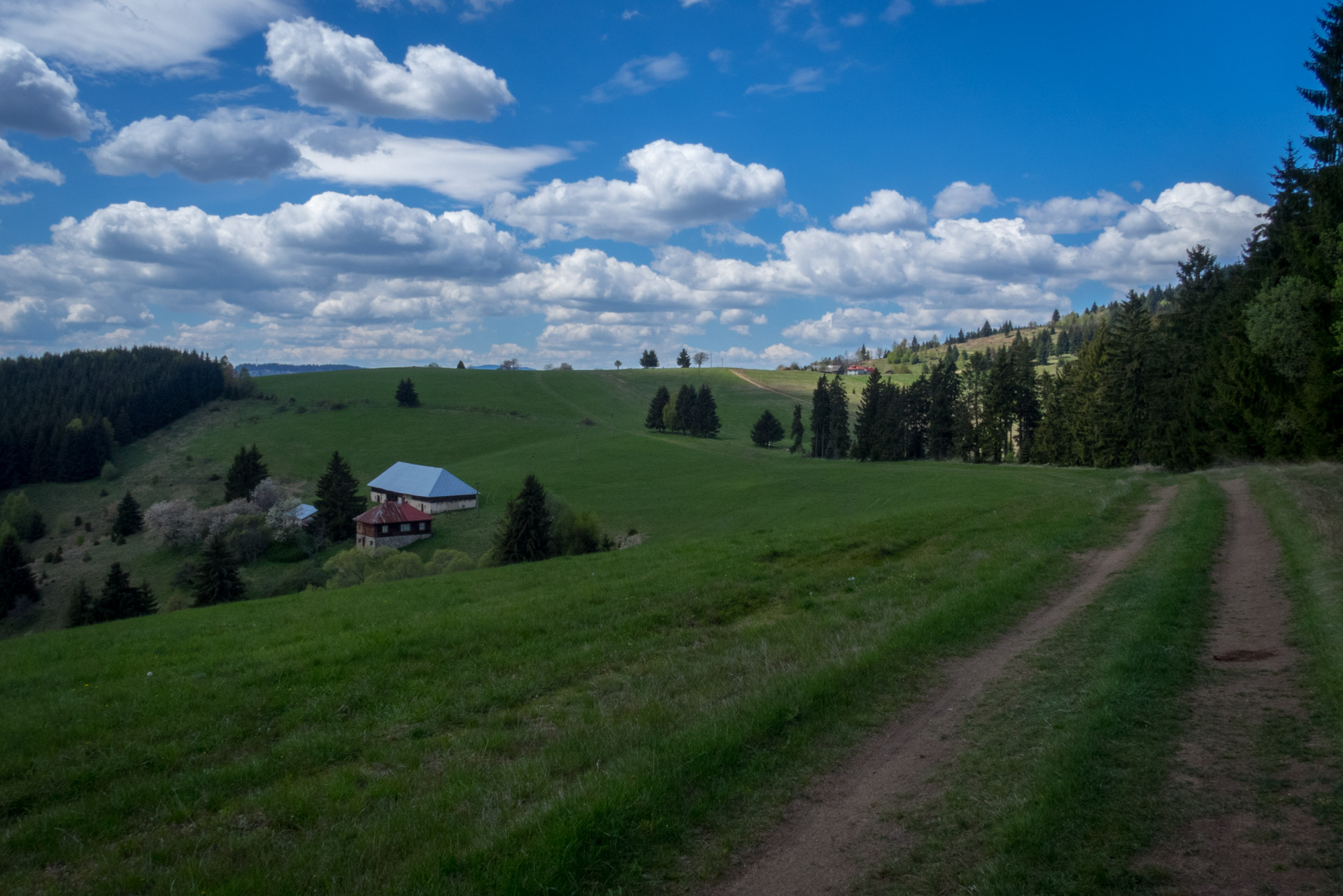 Hrebeňovka Slovenského Rudohoria (1. deň) (Veporské vrchy)