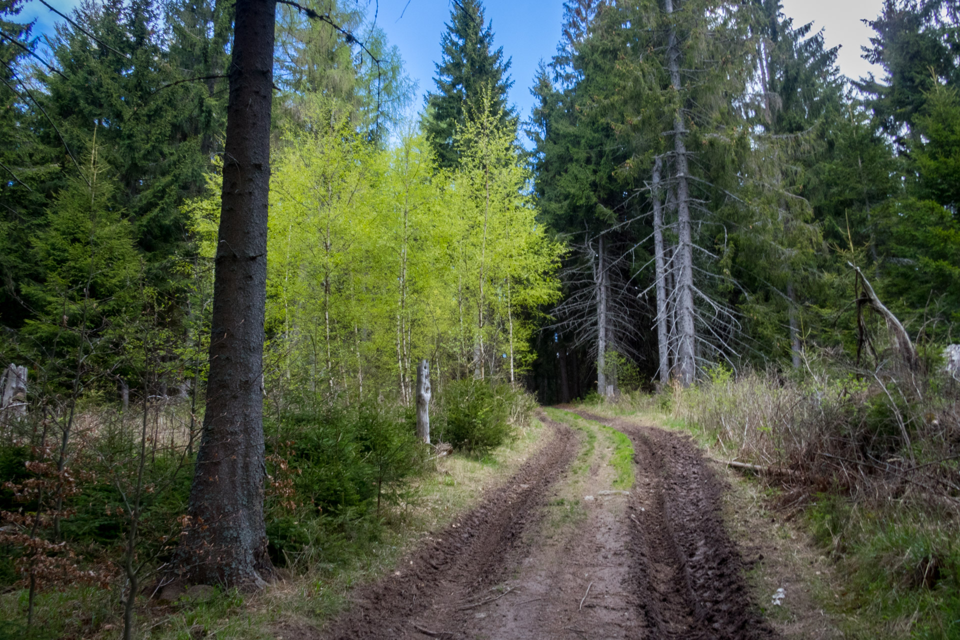 Hrebeňovka Slovenského Rudohoria (1. deň) (Veporské vrchy)