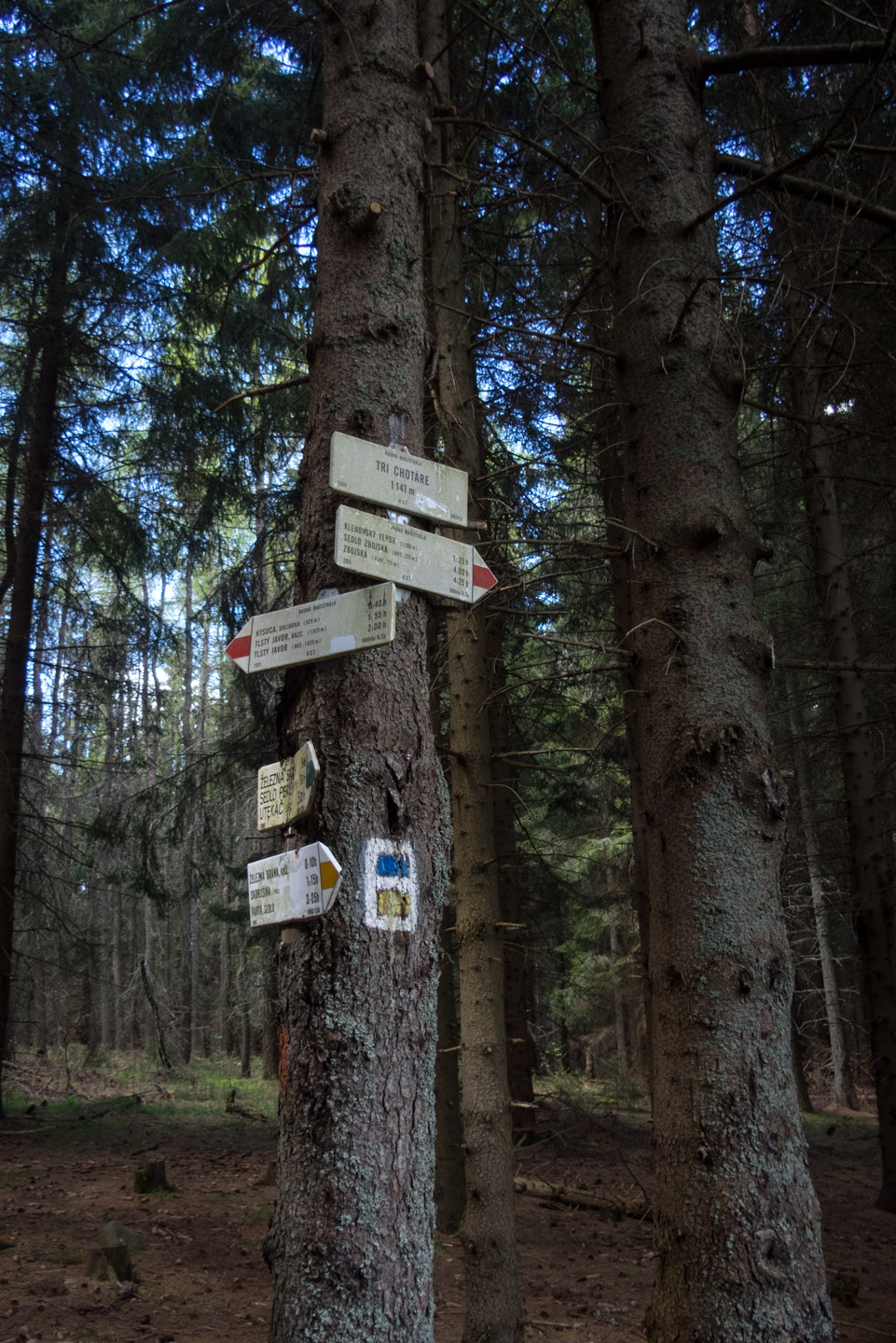 Hrebeňovka Slovenského Rudohoria (1. deň) (Veporské vrchy)