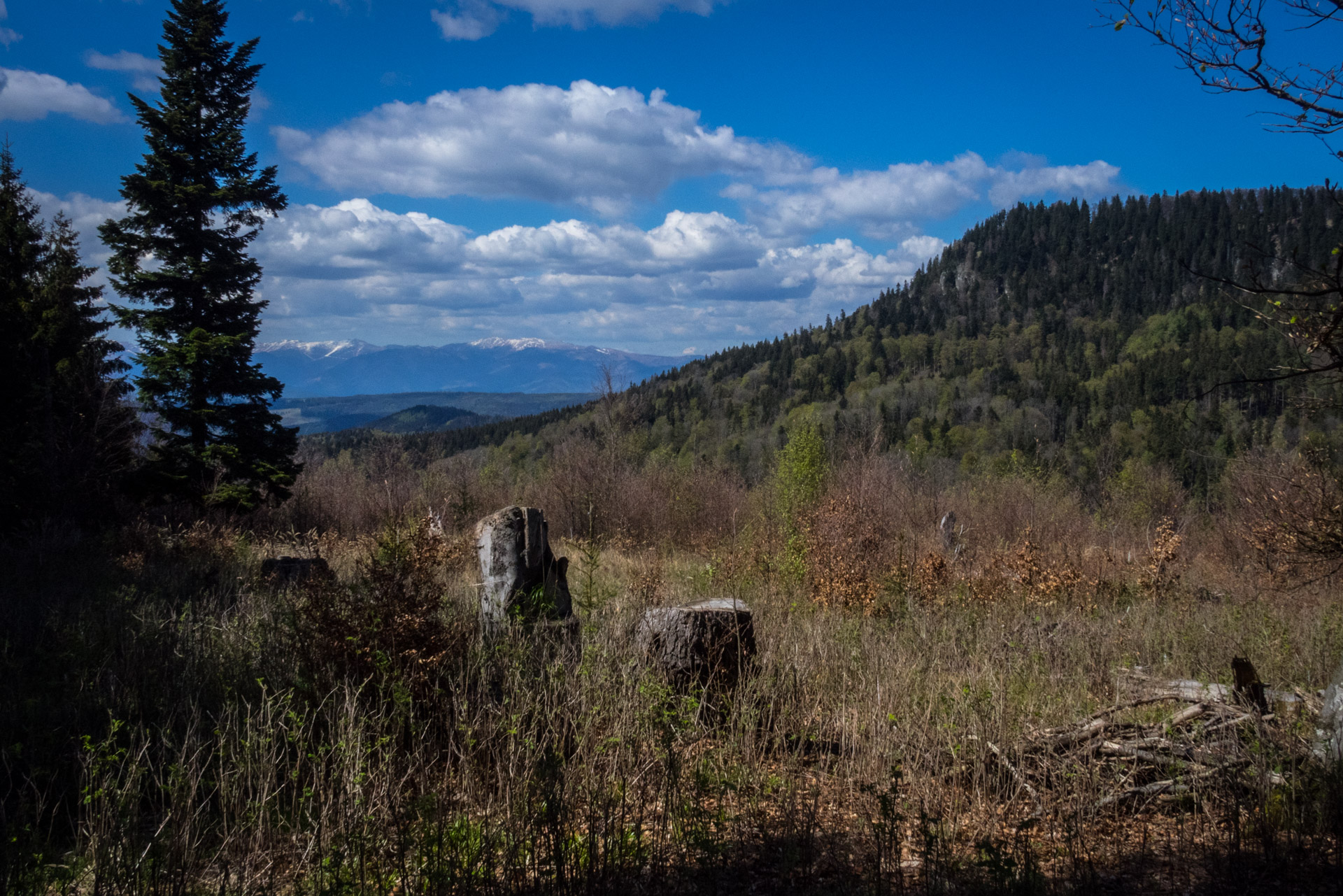 Hrebeňovka Slovenského Rudohoria (1. deň) (Veporské vrchy)