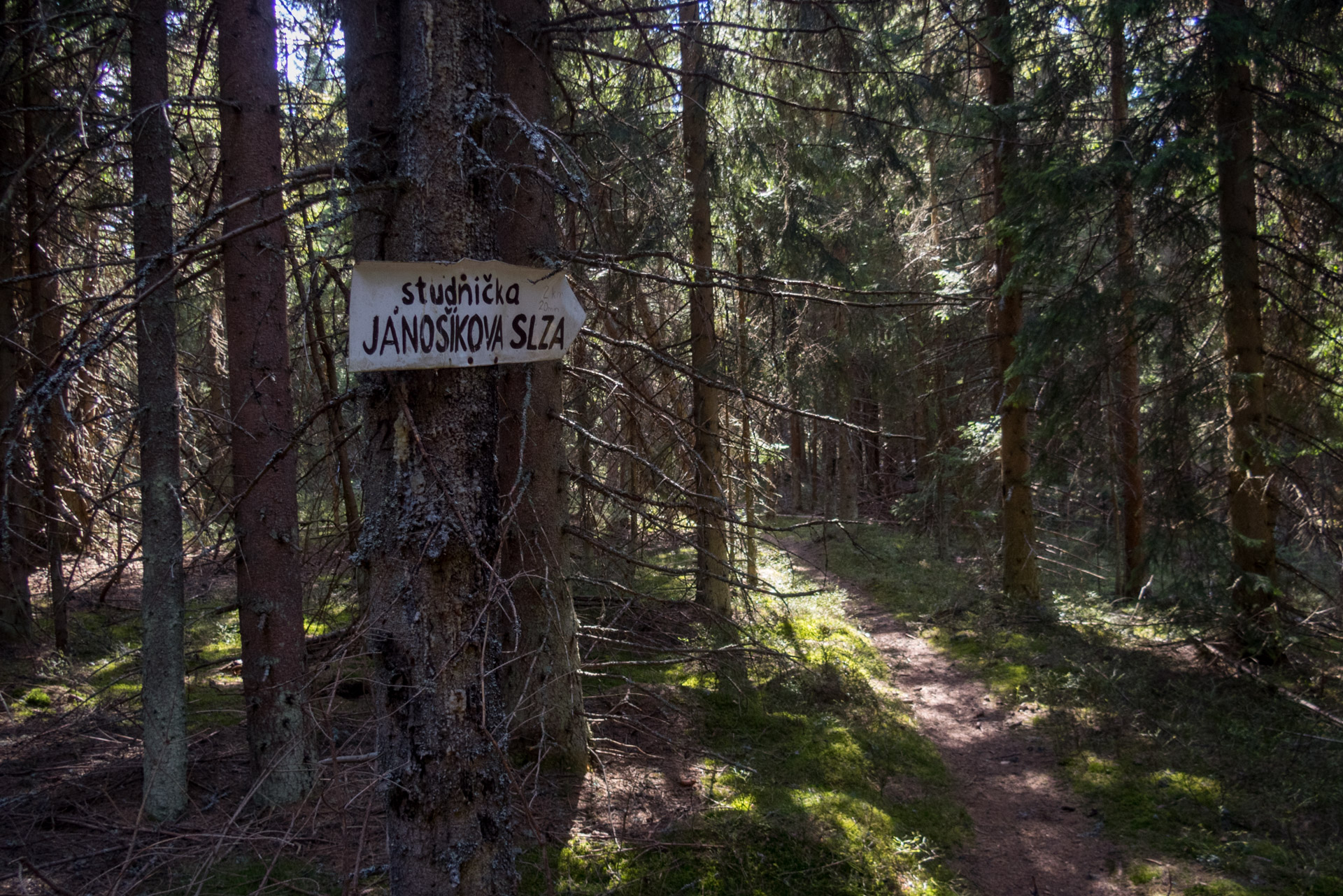 Hrebeňovka Slovenského Rudohoria (1. deň) (Veporské vrchy)